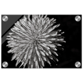 c0ee4c66-1194-4b06-ba08-8b907f7a4537