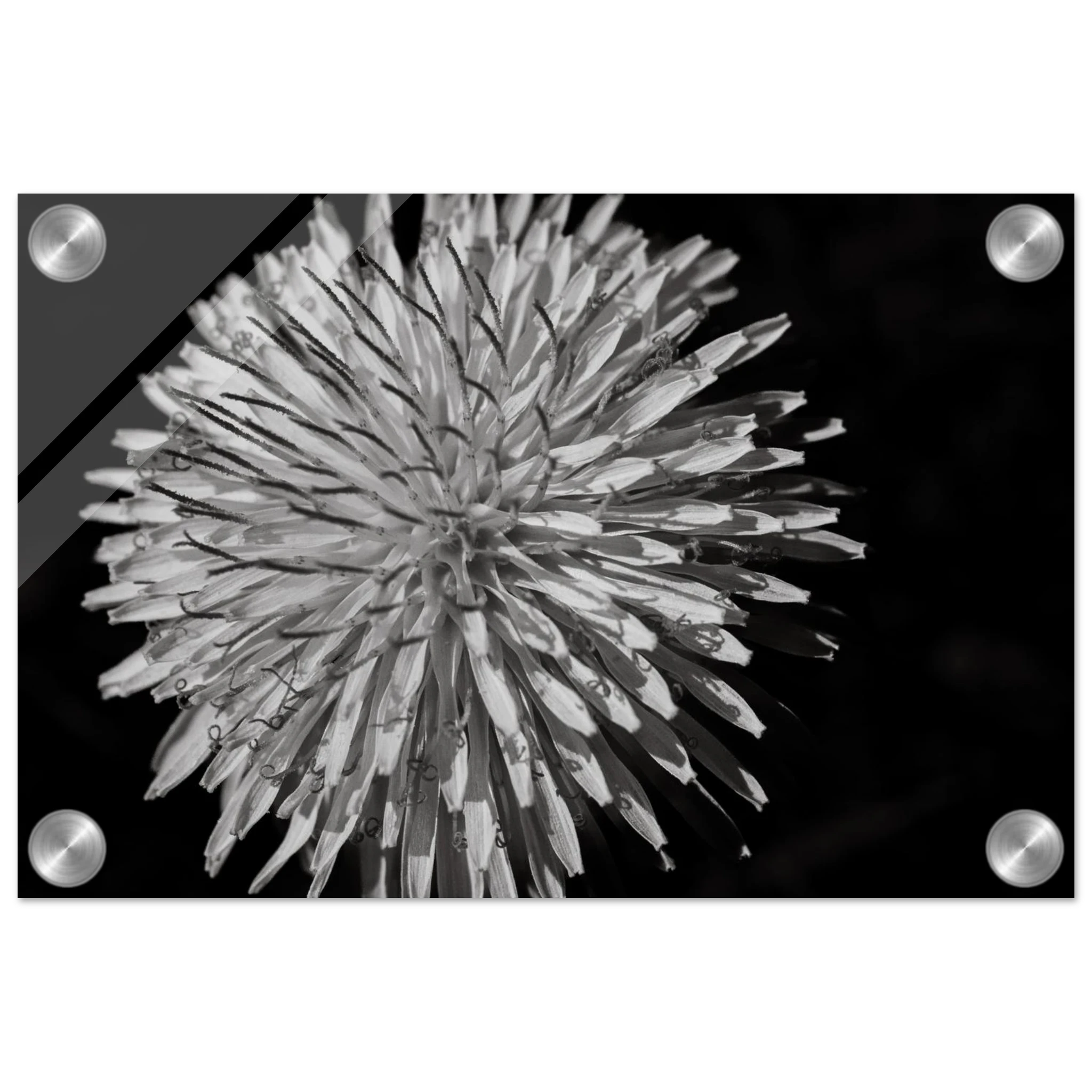 c0ee4c66-1194-4b06-ba08-8b907f7a4537