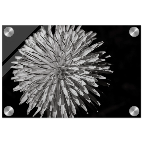 c0ee4c66-1194-4b06-ba08-8b907f7a4537