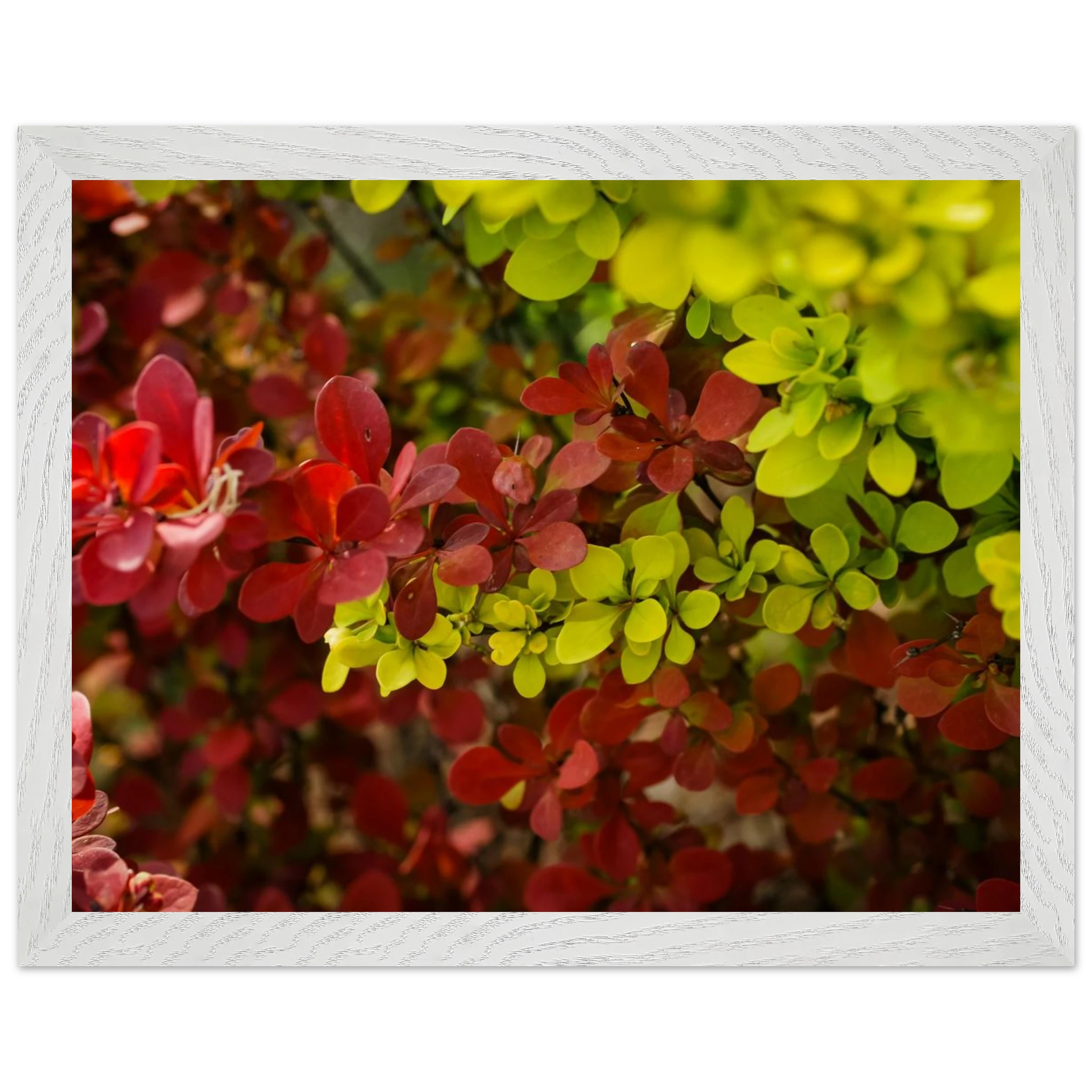 c1cc1554-3e5e-41ec-ba66-e9e74c8b2739