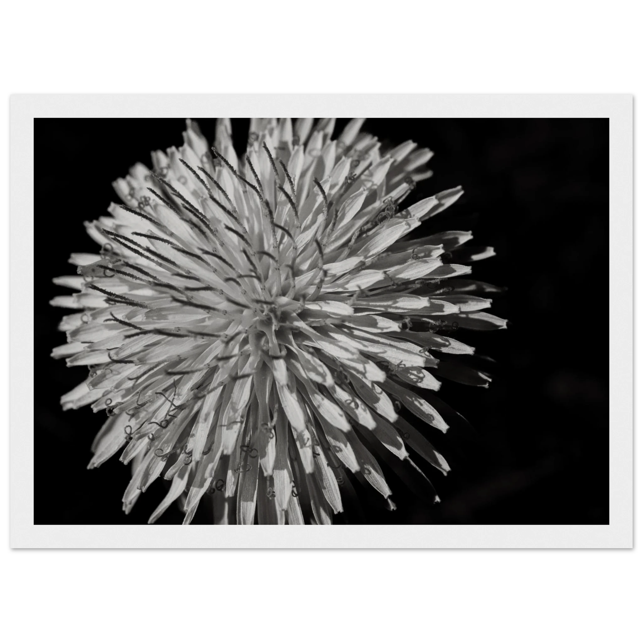 c282b201-3d8f-44b7-845e-feb8d783604e
