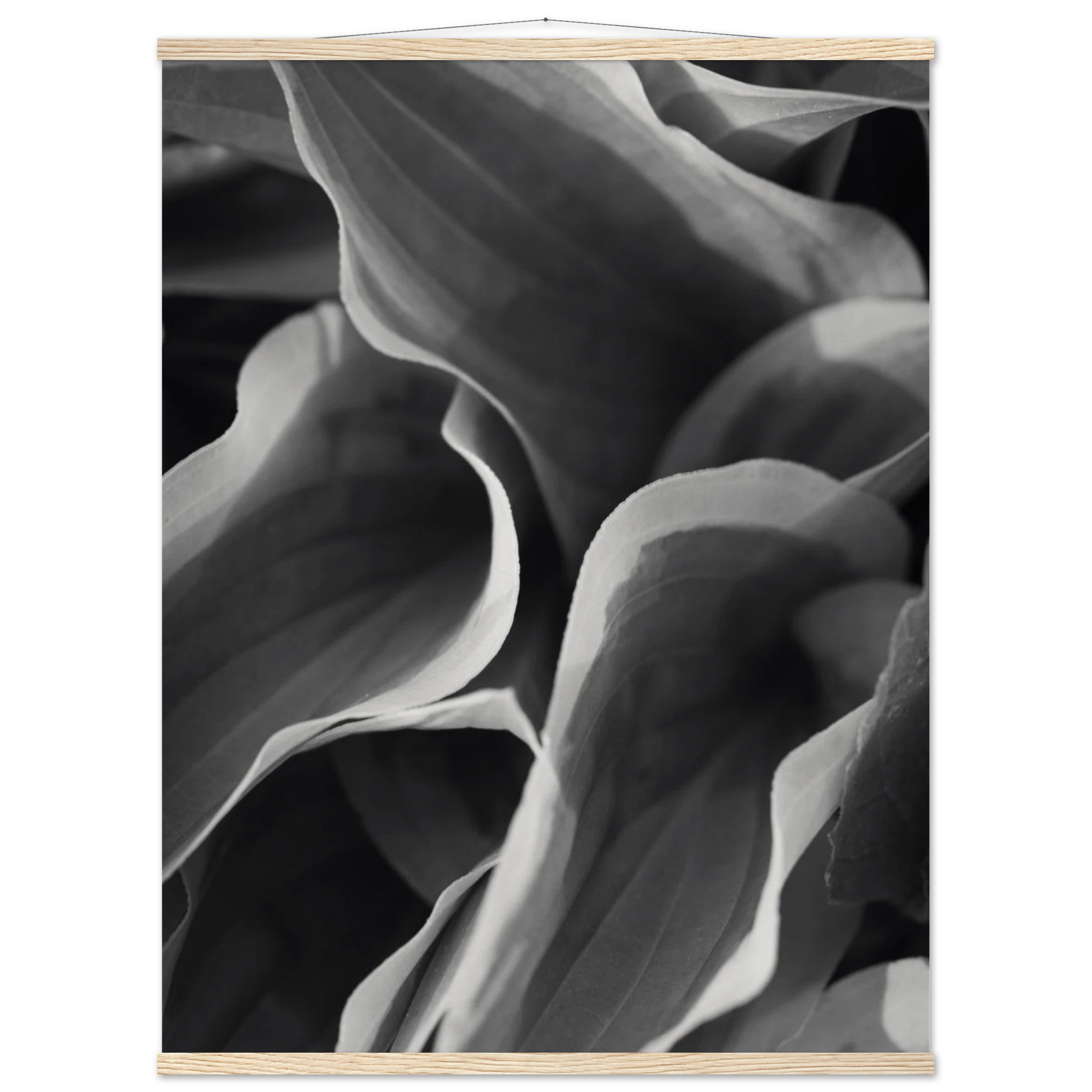 c2ead5df-22e2-4794-bfa7-00f7bd725ab9