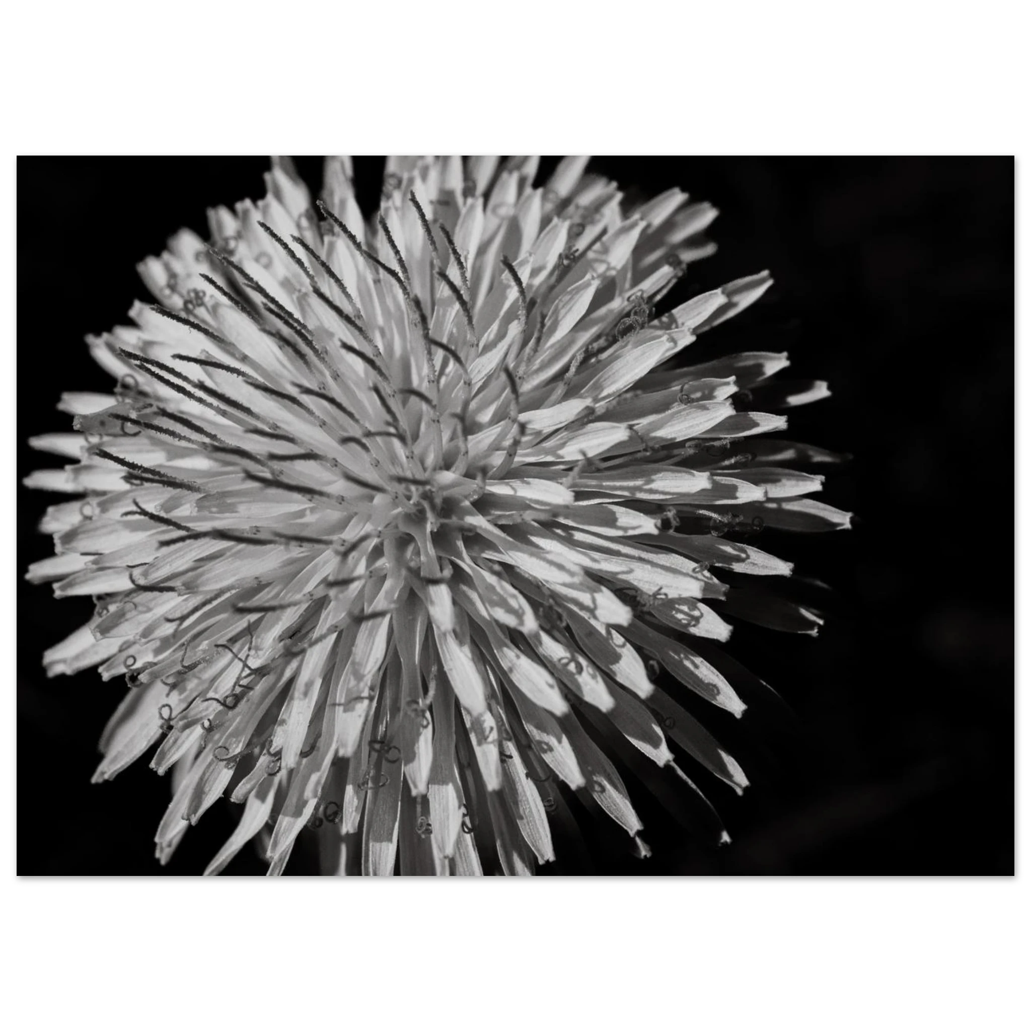 c362e716-3cd0-45b4-b032-f25a0cf06d96