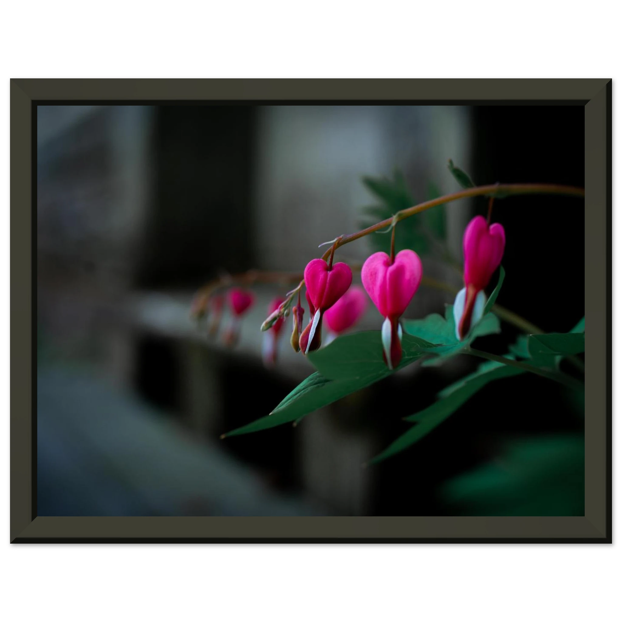 c3684afe-be8b-4e32-8371-a862af103535