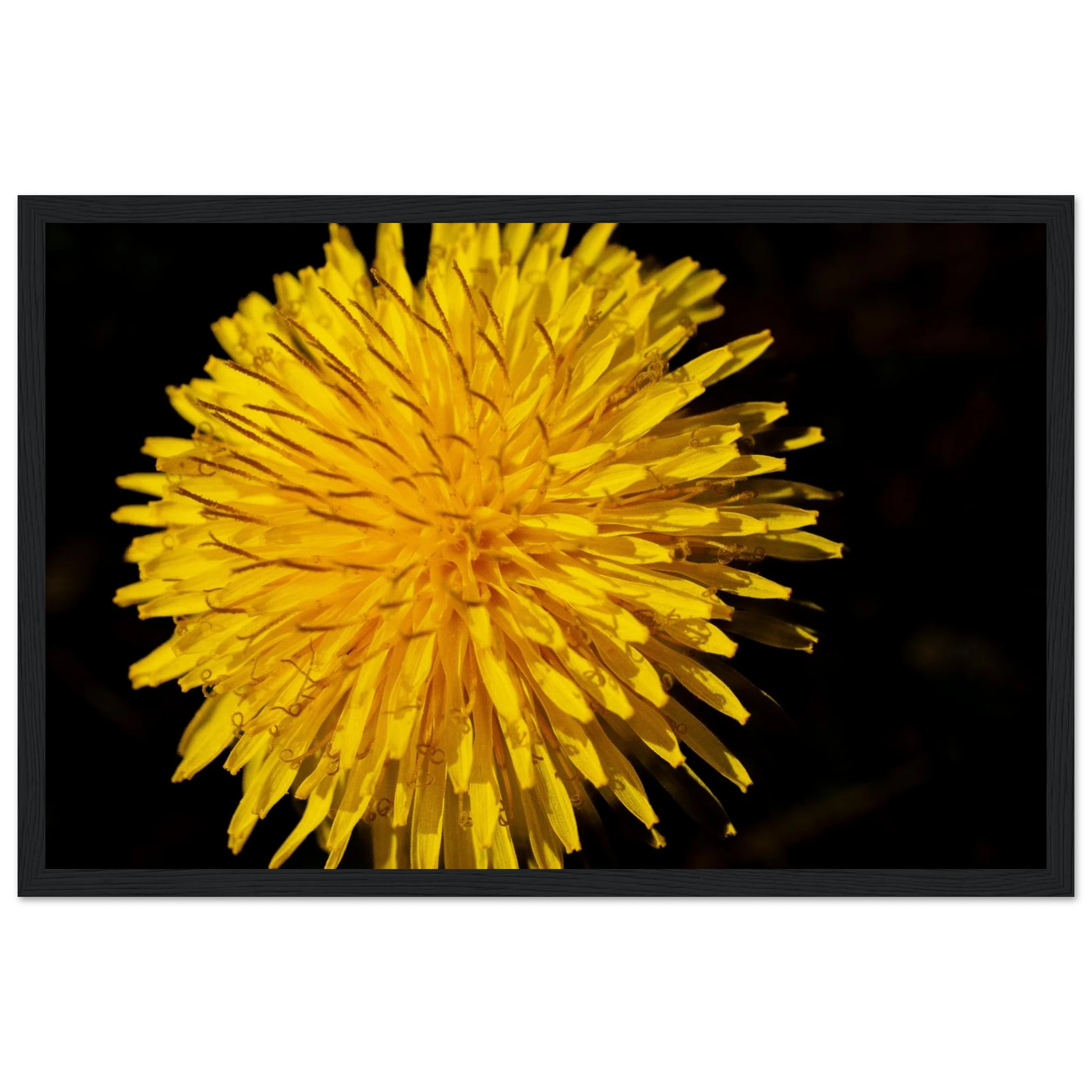 c3966053-48c7-49de-b96e-efdb4f6bc482