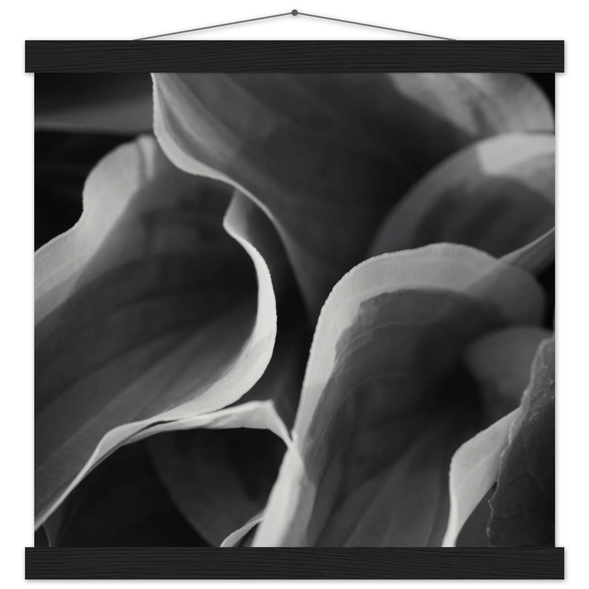 c3d93954-2956-4a23-887a-b60046b5d354