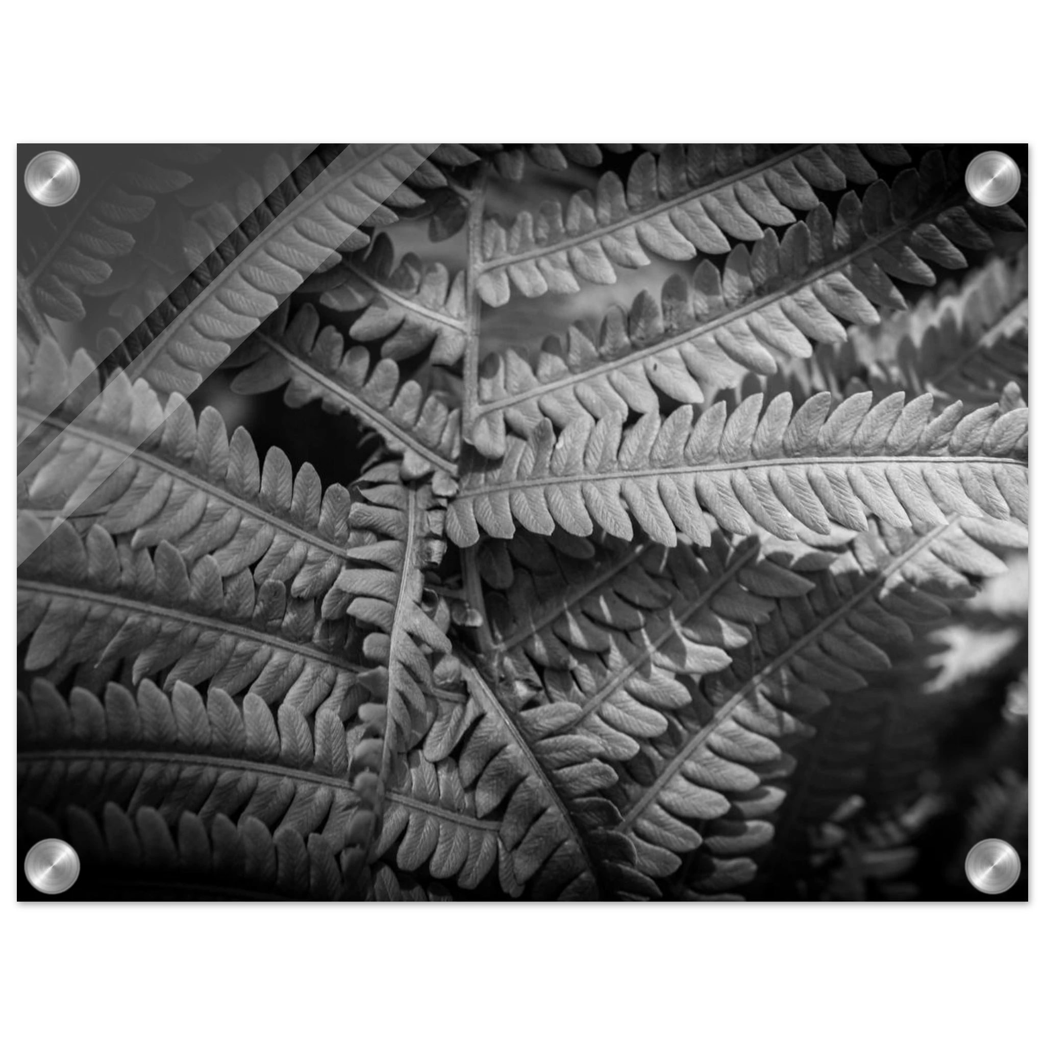 c3f1171a-3581-4e62-a60e-6fbe00f5e850