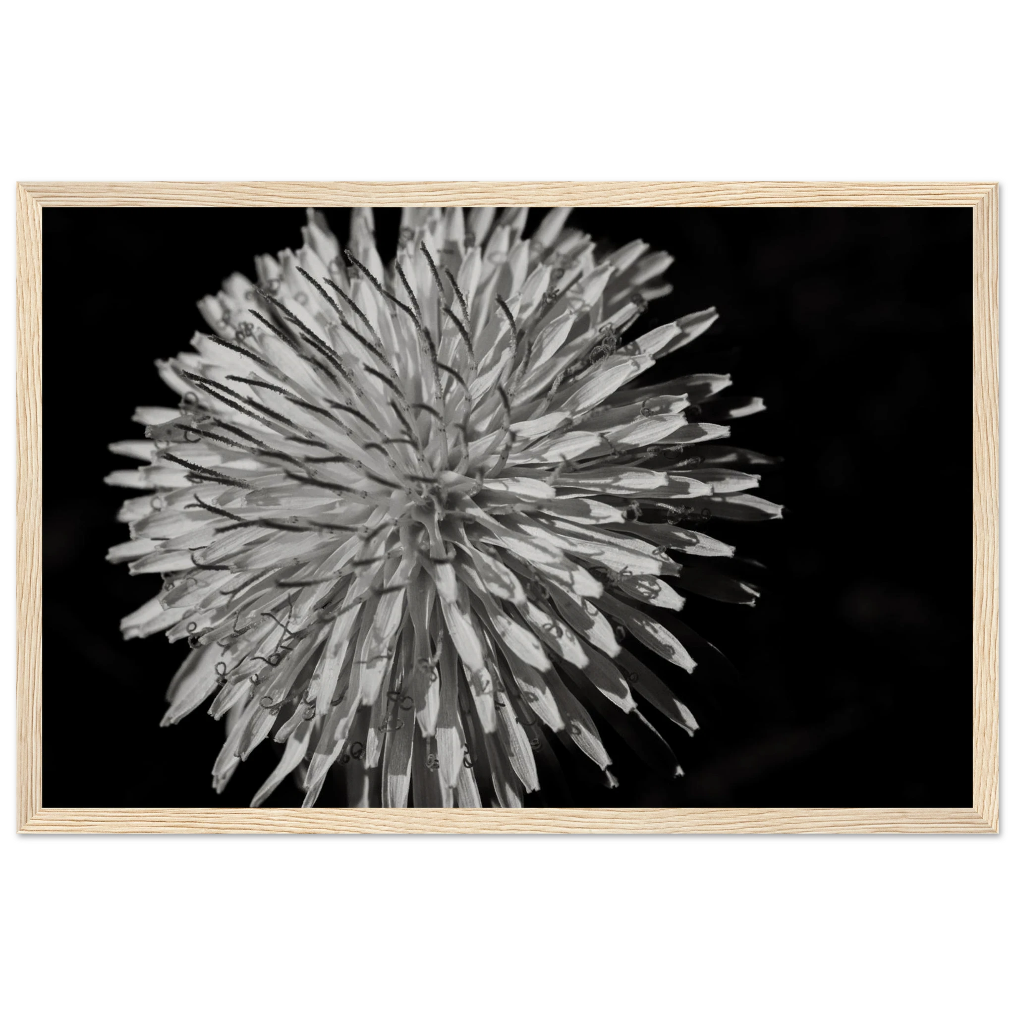 c5488476-cbaa-411f-9a83-2cce672bf5d6