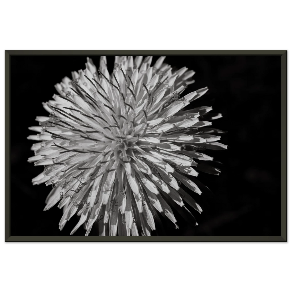 c57720ce-1e9b-42de-a14c-f79231ce2974