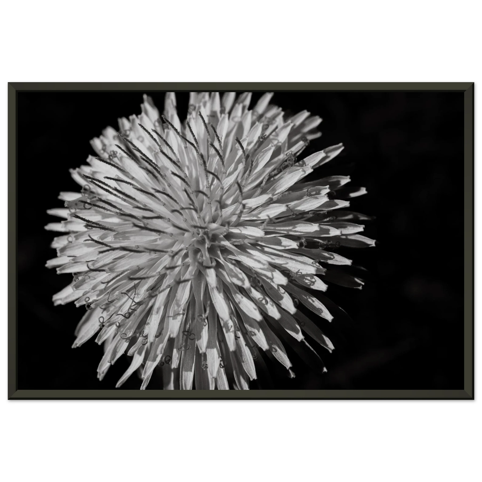 c57720ce-1e9b-42de-a14c-f79231ce2974