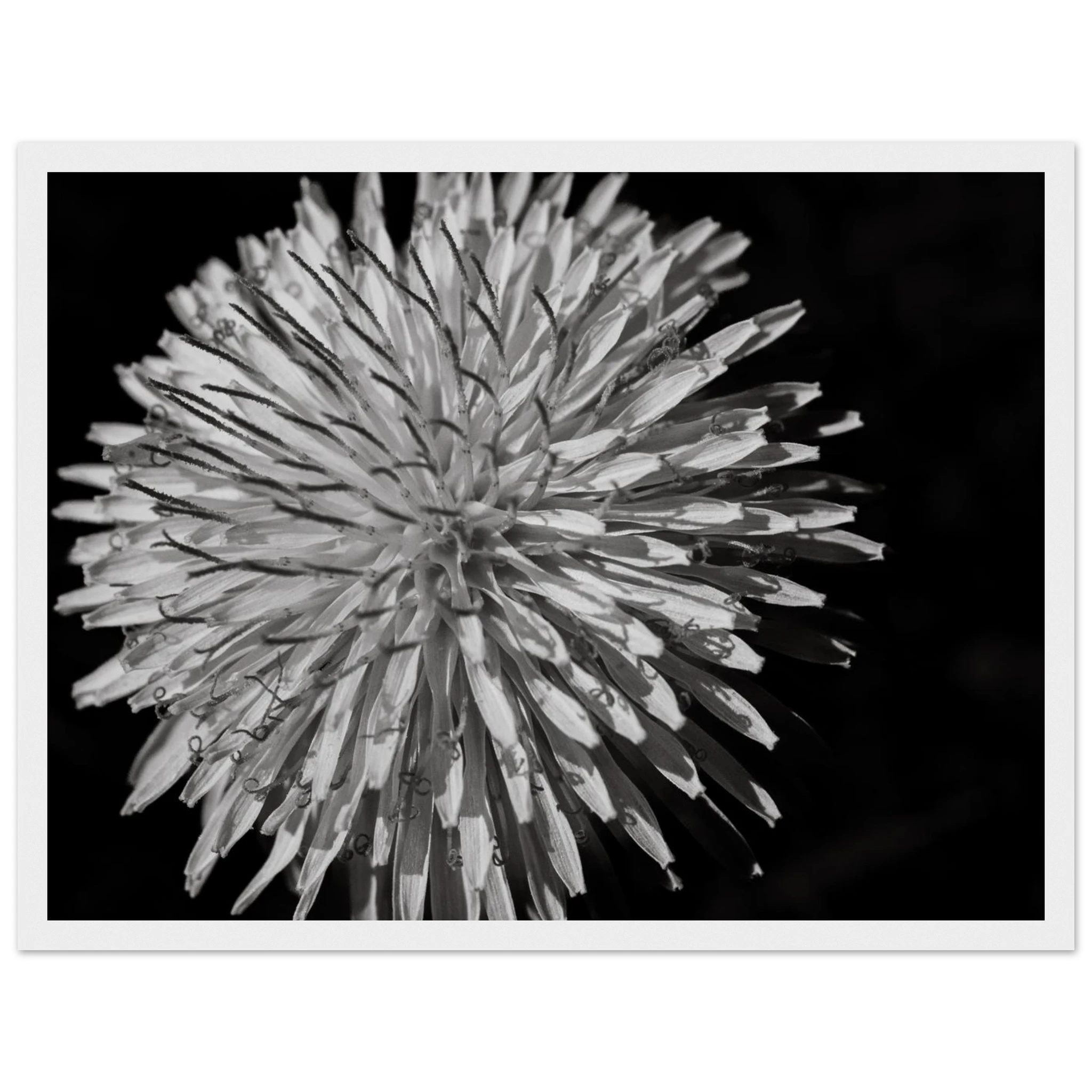 c59834a7-5066-44fe-9d35-97b44d92b258