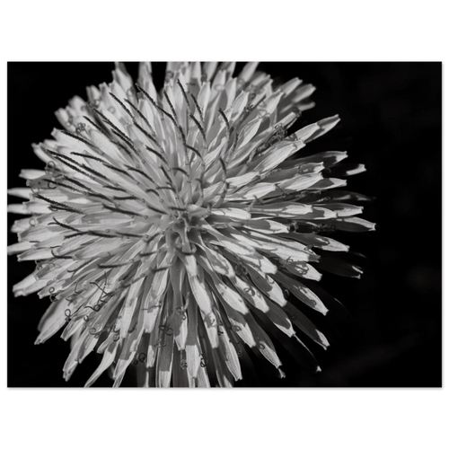 c5d0e505-4ba0-4a30-b7ce-8b2ae9feaccd