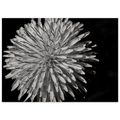 c65215cb-76ae-4ecd-8dce-eb803948f57e