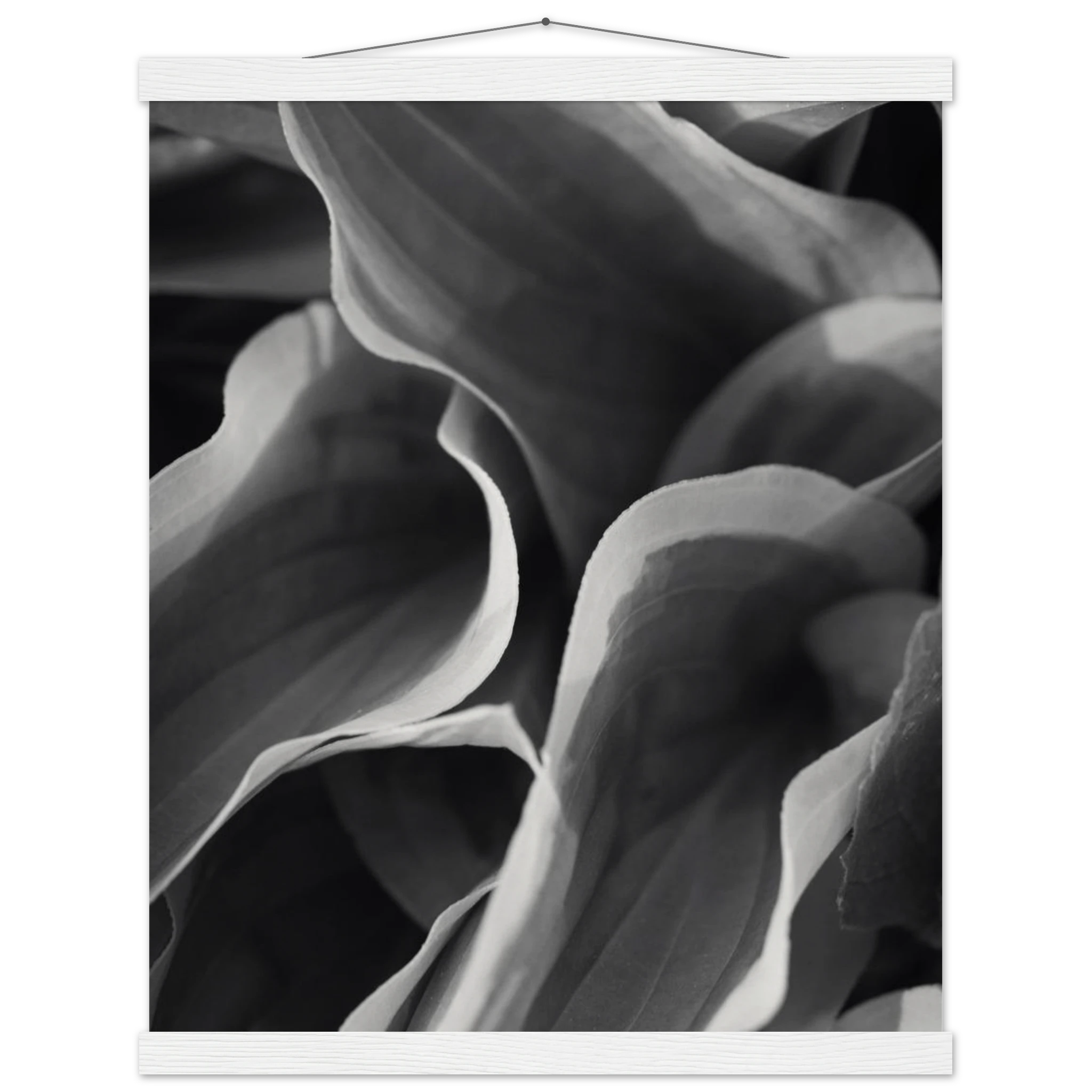 c9ce2f7b-4f19-4765-8de0-e57dcbc34f73