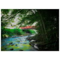 c9d5fd2d-ff6d-476c-8d40-9c1f60ba2715