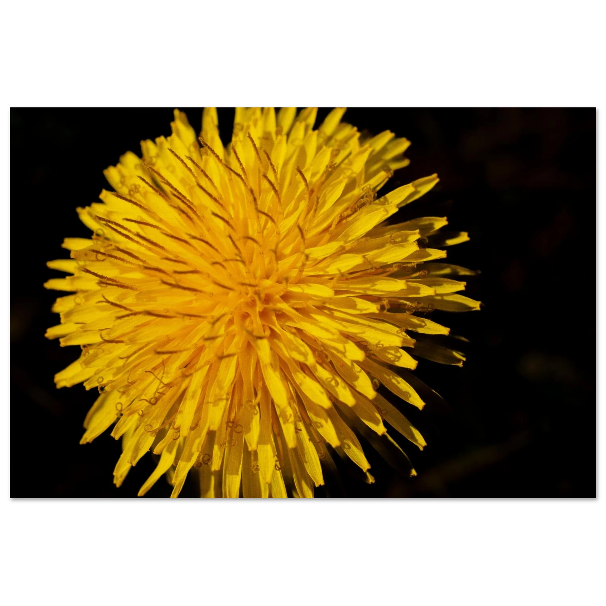 ca6a0bbe-f490-4f04-9322-68d8833a41e2