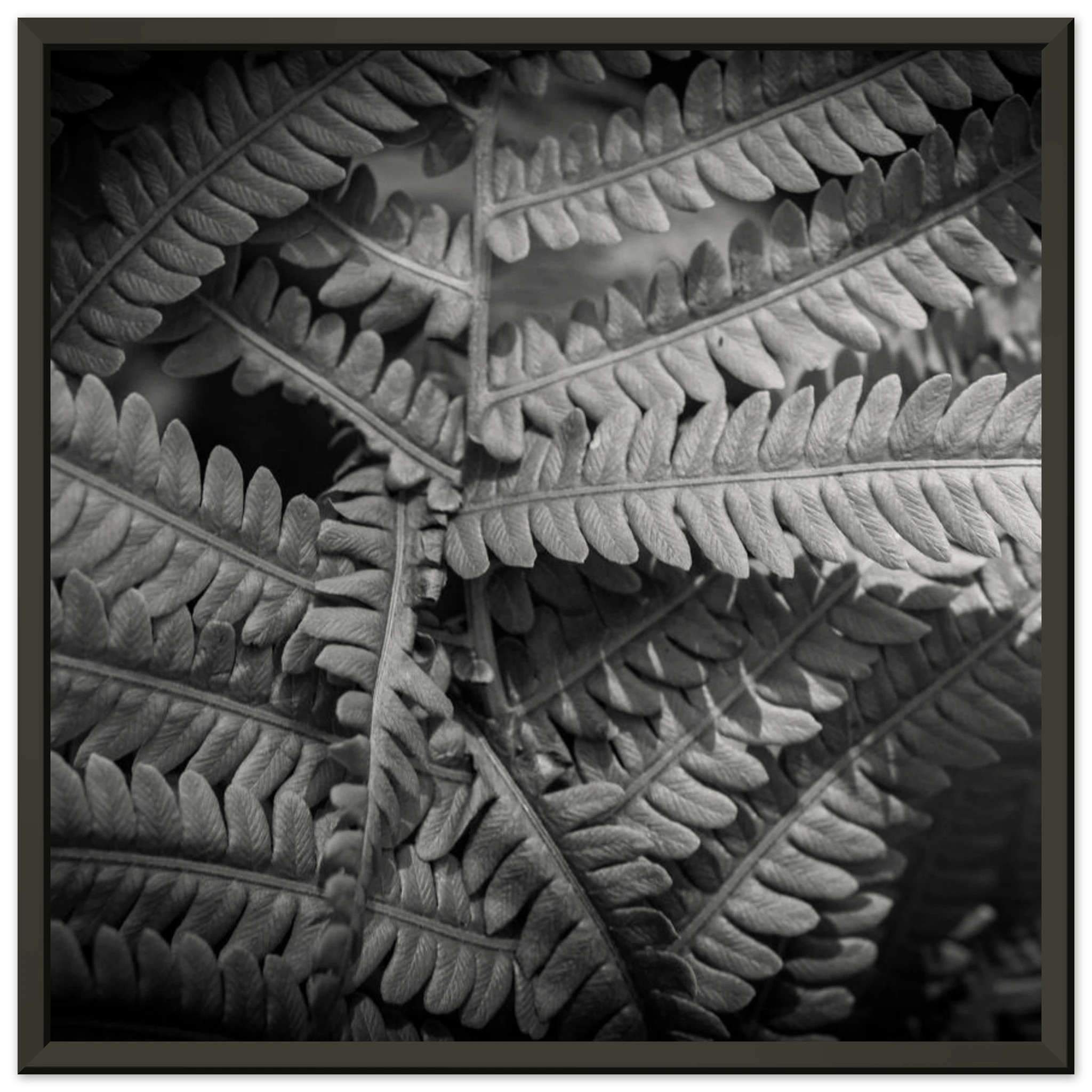 cde5a4c2-ef0f-4f98-92b1-bec45eb56f1f
