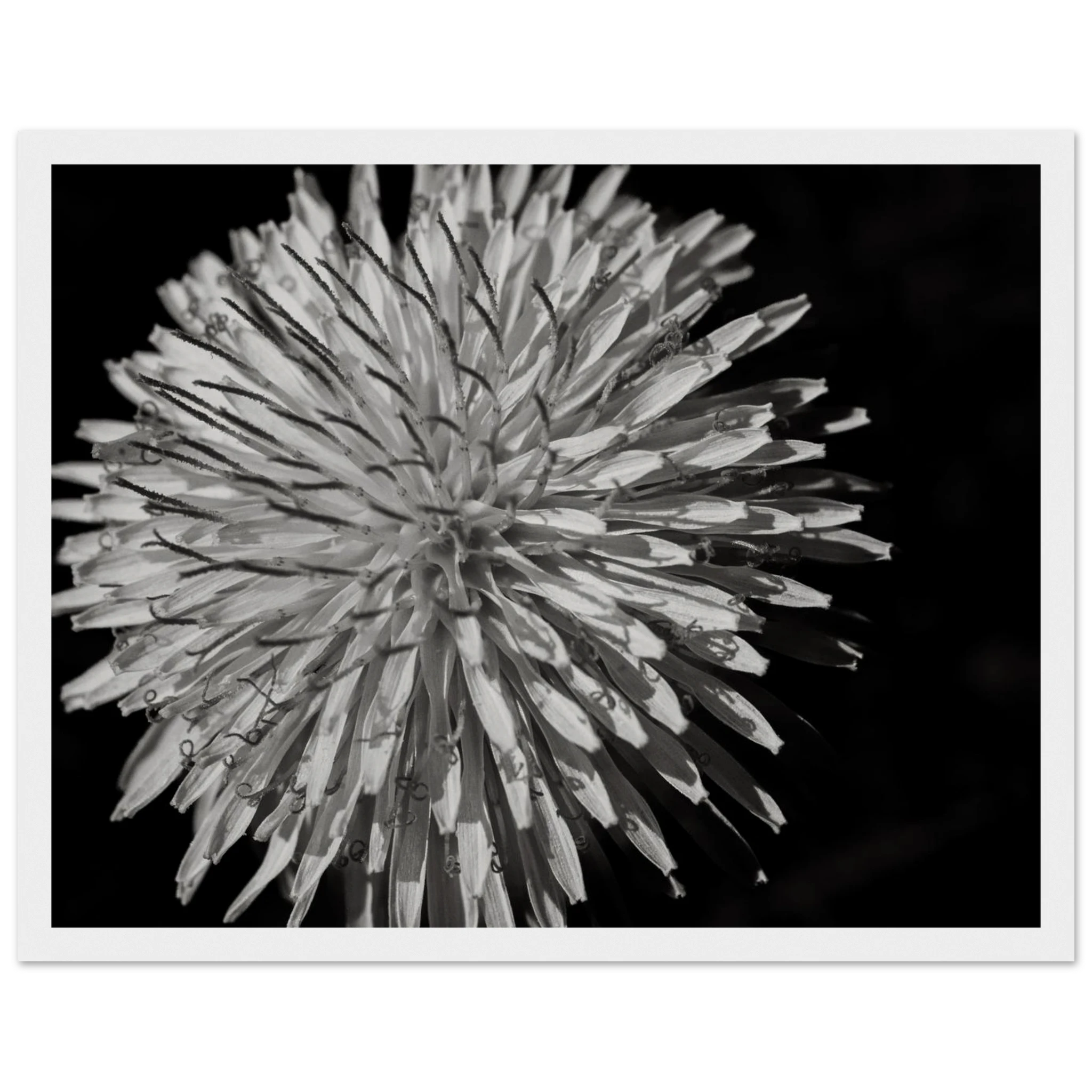 ce5c6f48-582a-47a0-9061-150173f35721