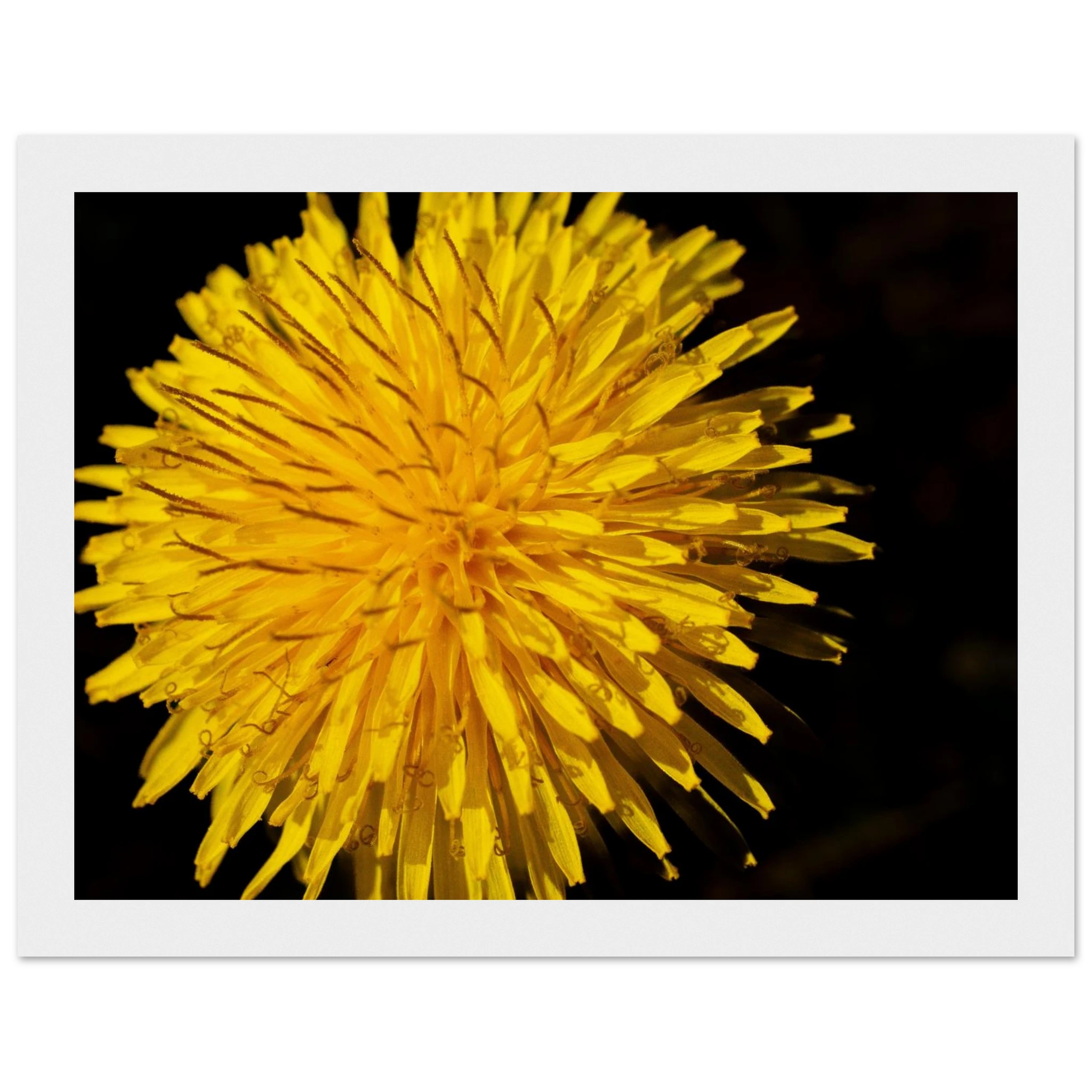 cf79e389-de79-4dc4-bd41-868c87d03c5a