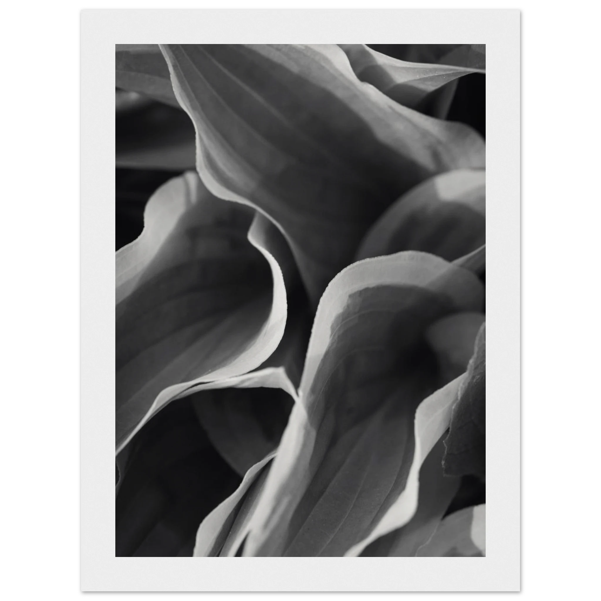 cfd95eed-64e6-4fb0-9509-0dff4a766ae1