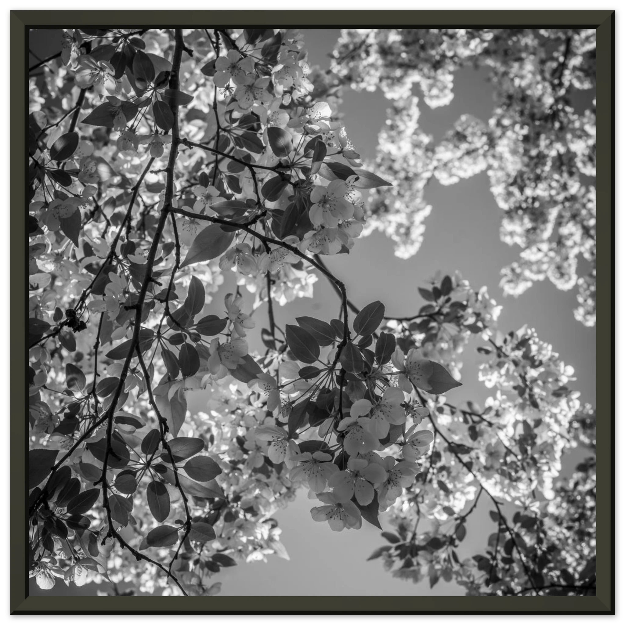 d0958a92-90c8-419a-a2fa-cf2a2bd50c7b