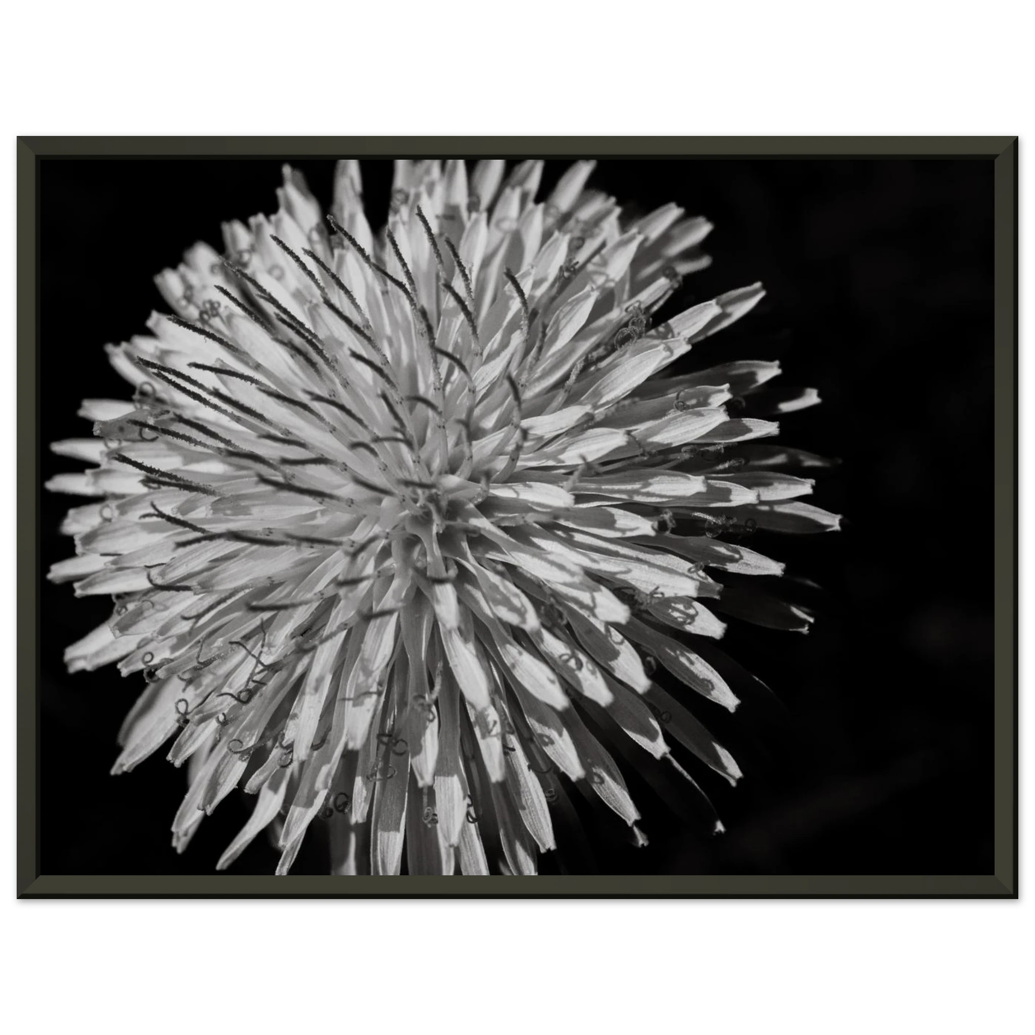 d1264d7e-a5d8-45ef-b9ed-1f820dbde3b5