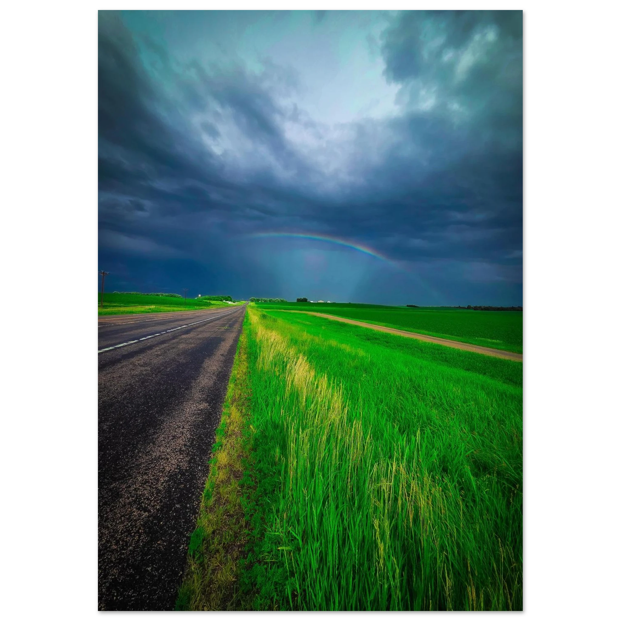 d1530a50-ff8c-4201-9dc5-9653a67e354b