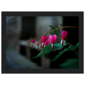 d28dc335-2fdb-4076-b583-e85dbe5476c2