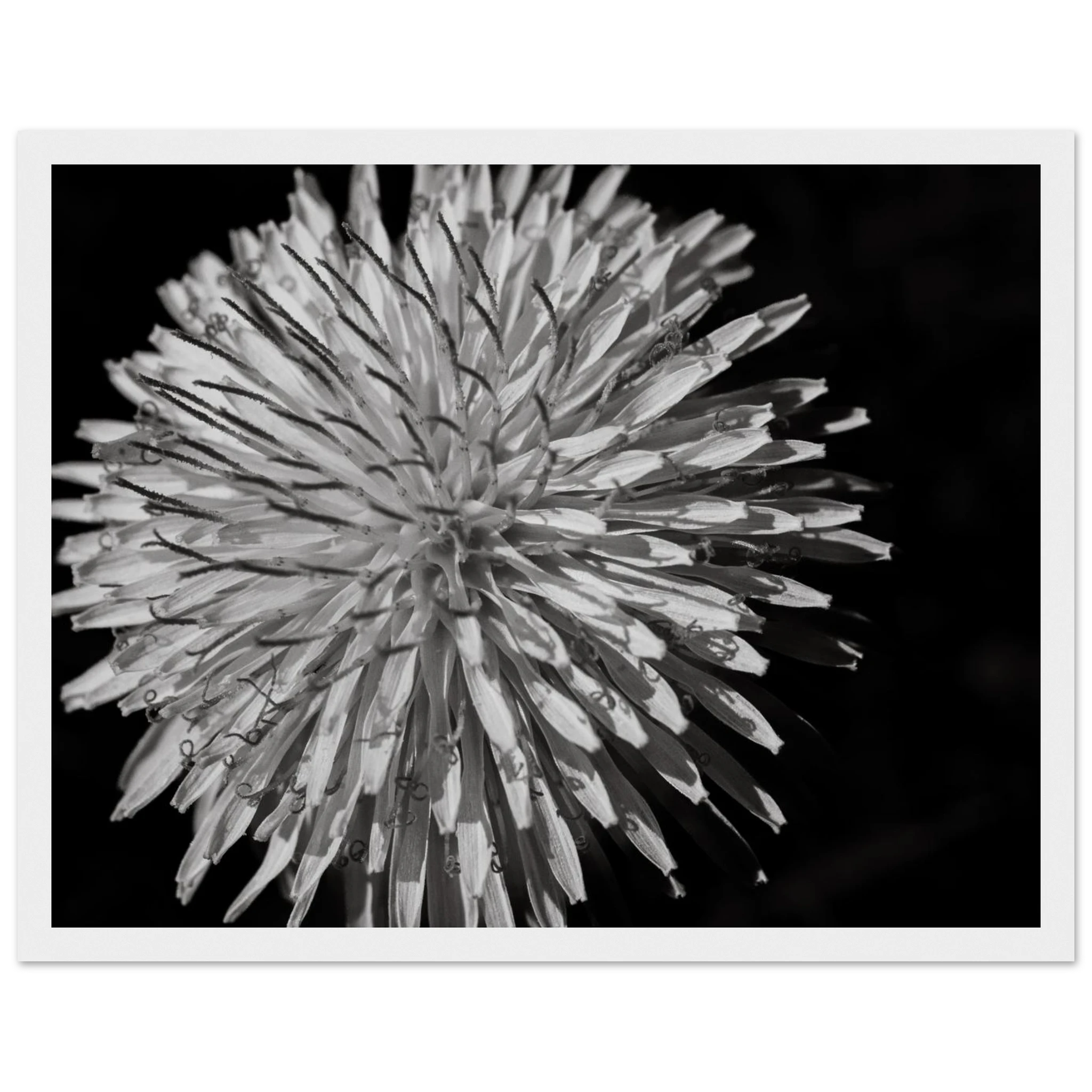 d34b6875-2ac4-4fa2-8b4e-f797c766d485