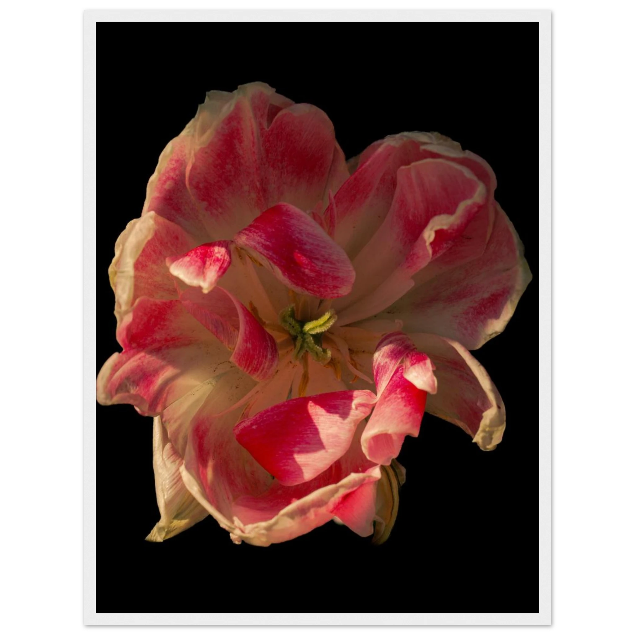 d72d3fed-0528-42df-a78b-06db0e91ea96