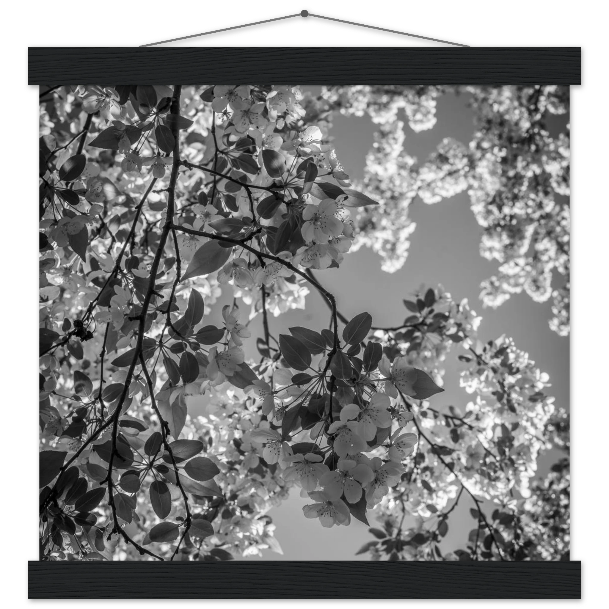 d7d63397-1f73-40f8-b059-9fb5646543ad