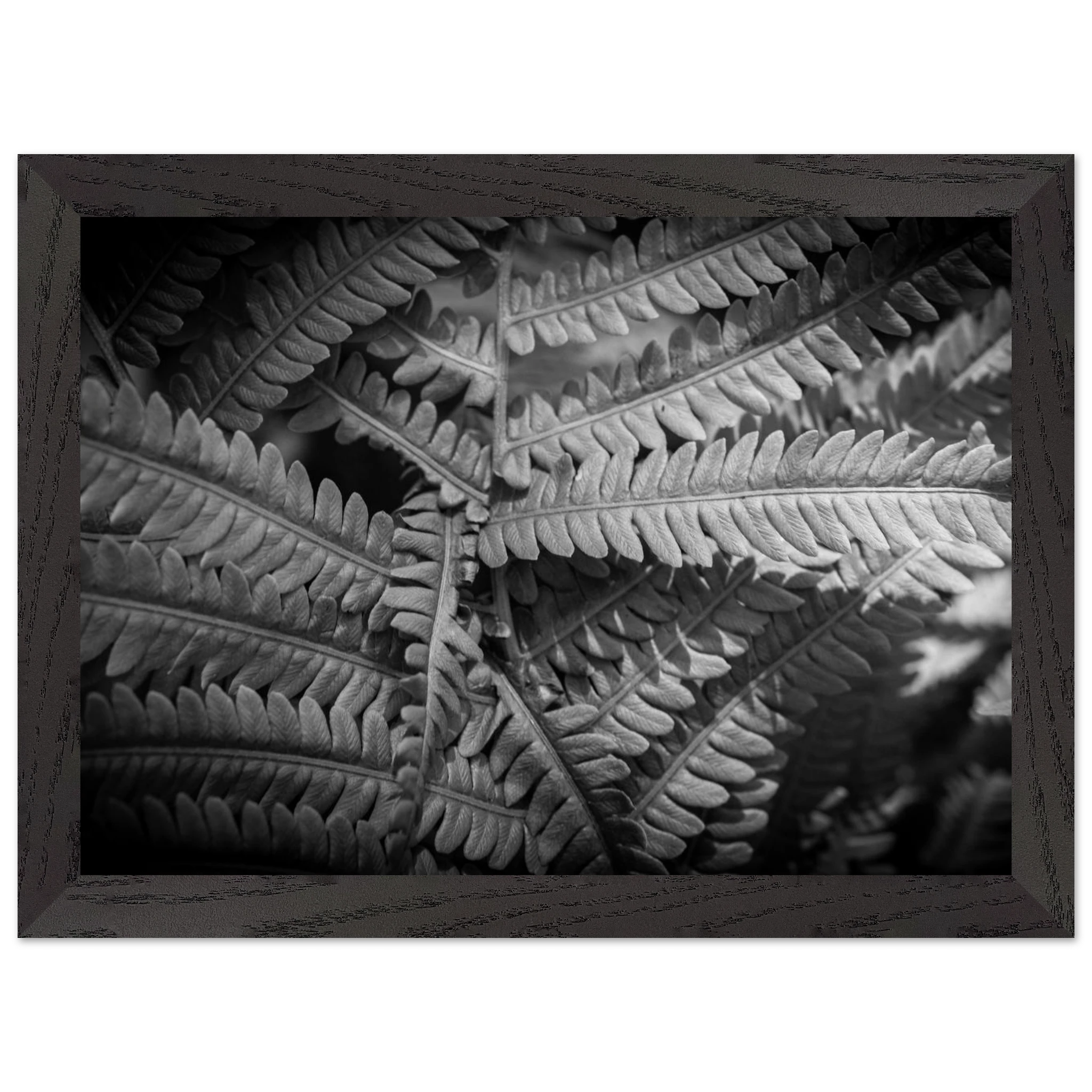 d7e23690-b809-4f97-857b-726365e4e3b0