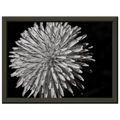 d8095c63-0ad2-4735-bdb0-099e0c99b0b2