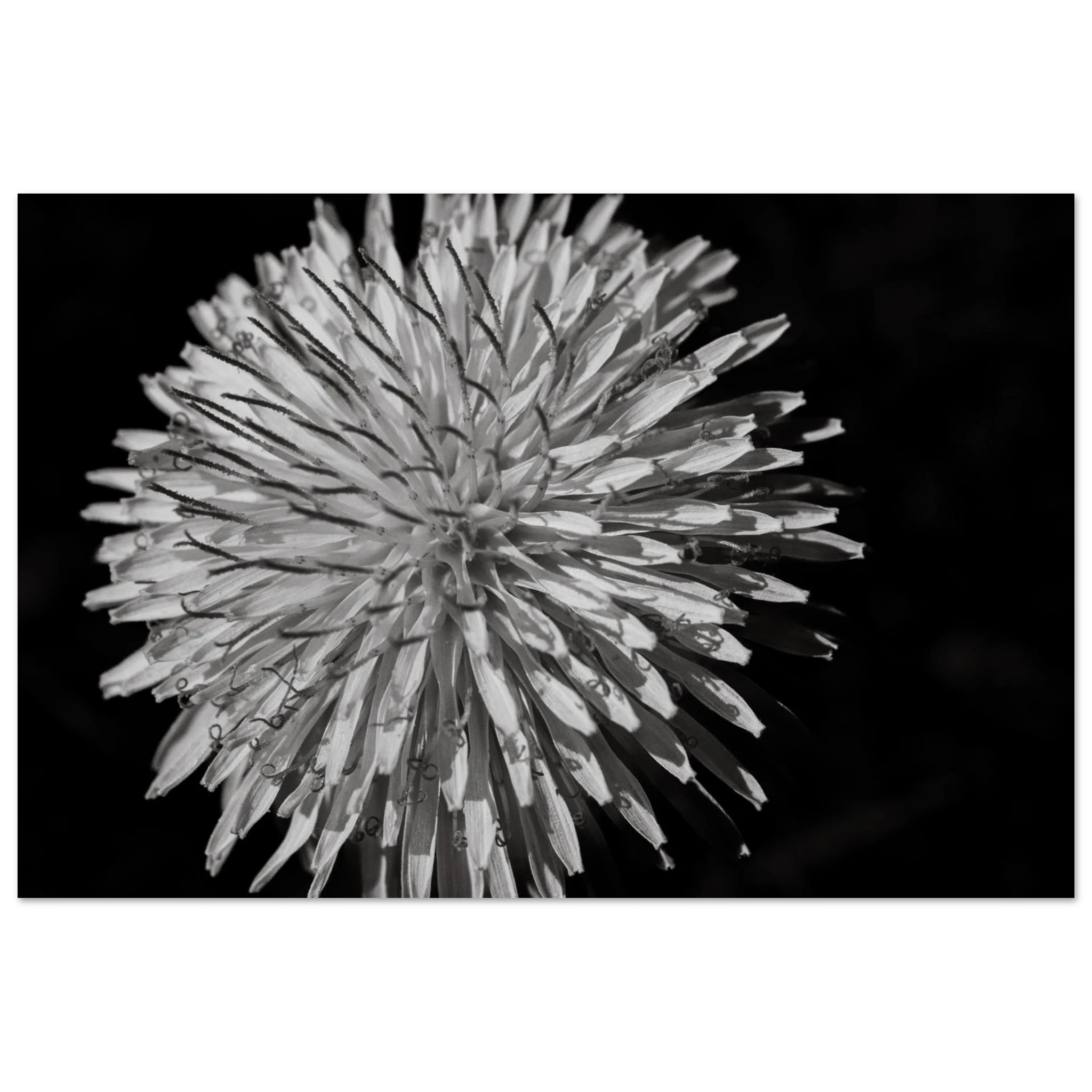 d82710b9-cb27-42ab-bc53-c6ad23a69bd5