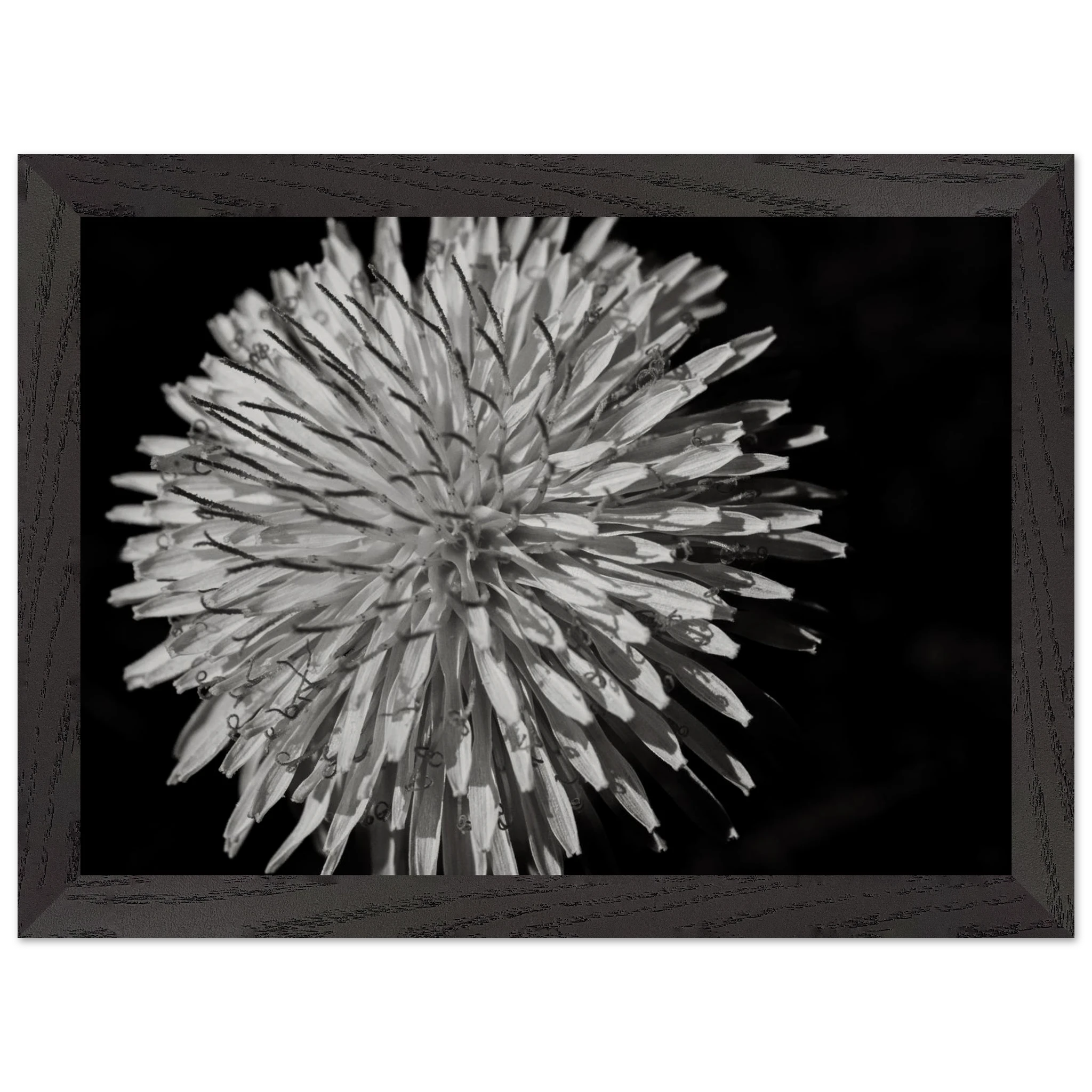 d89d6514-2181-4372-b792-4cdf0e06d088