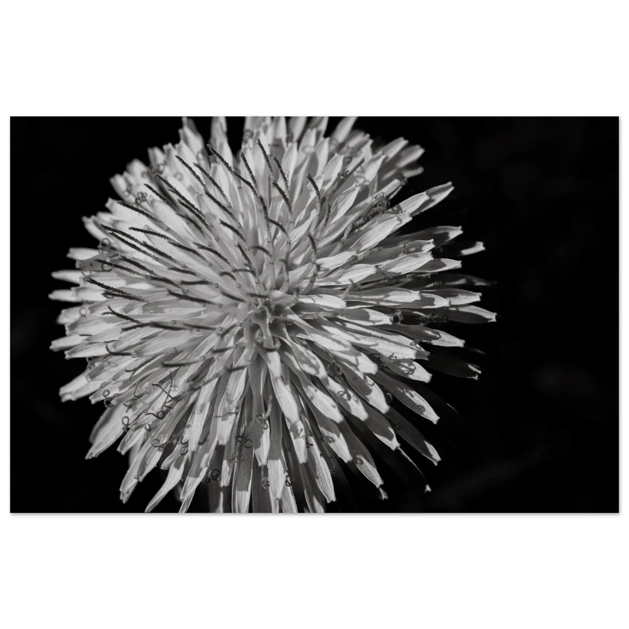d94cd945-e3c3-4c86-8908-aa4e54685360