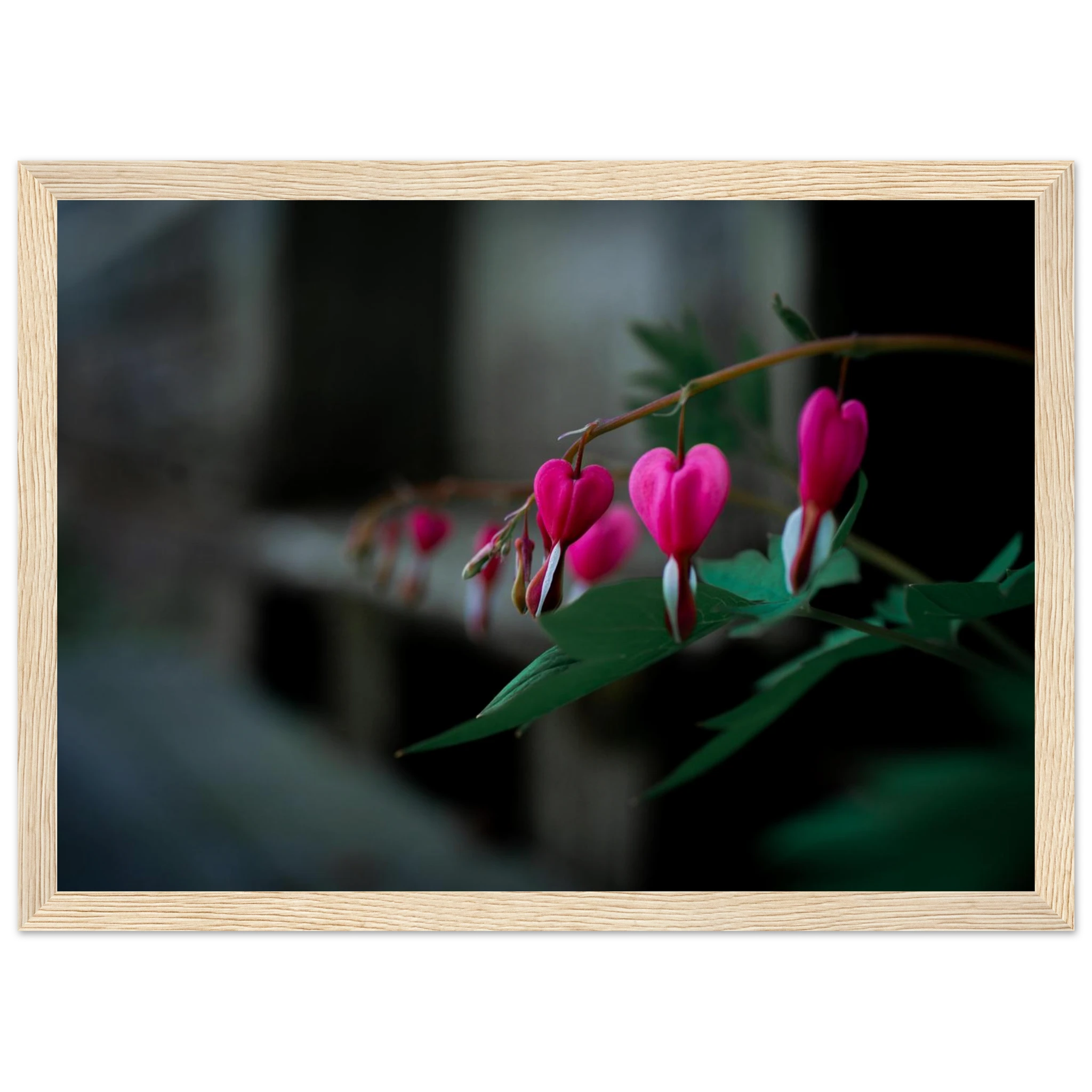 db3f922d-a7e8-4221-ba9b-aa0cc45eea4f