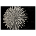 dcb921fc-2253-4692-a76e-ee85c73903e2