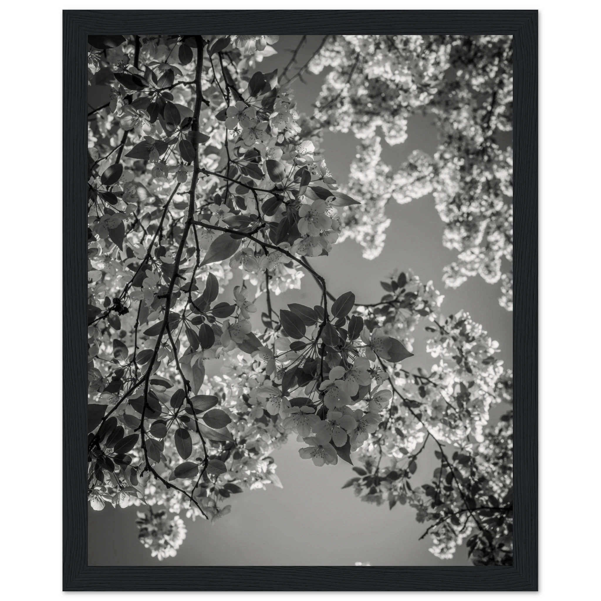 debd2982-a9c0-429f-b1ef-419333f779bf