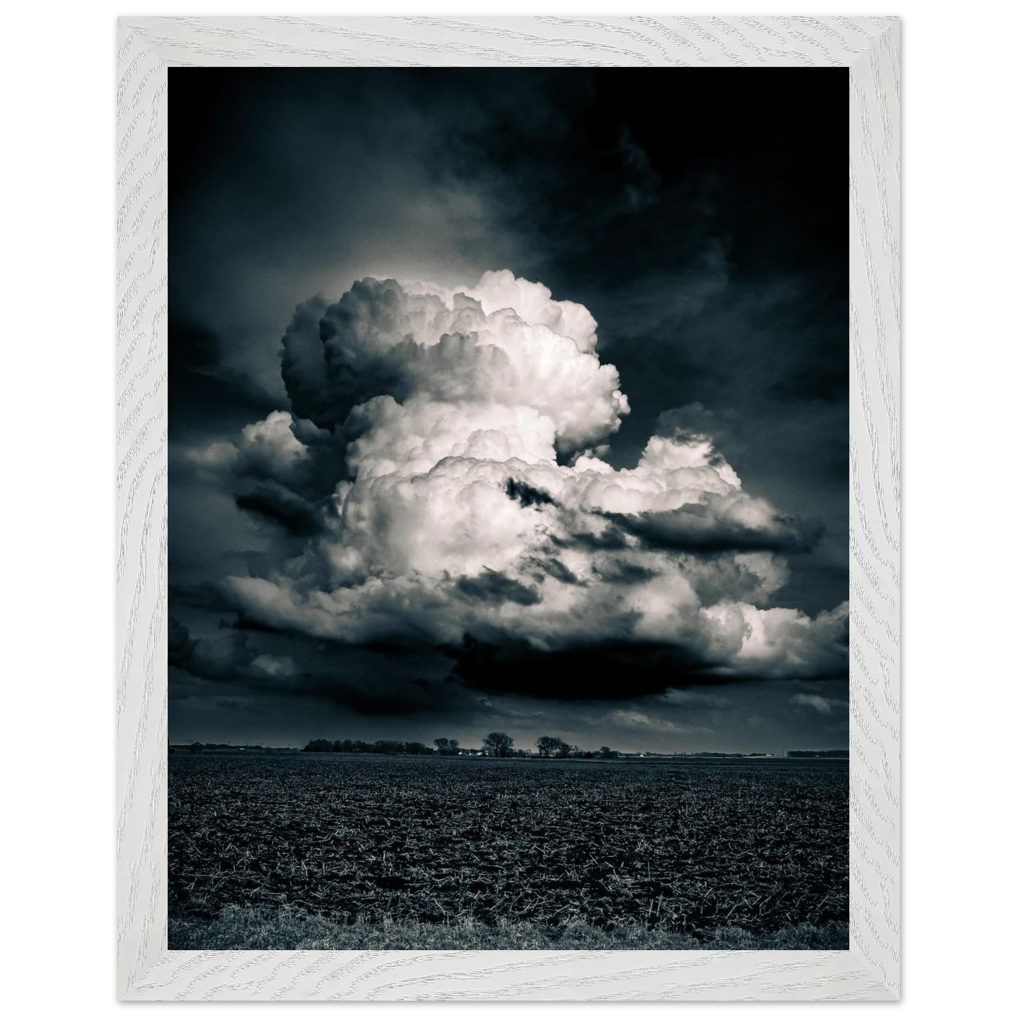 df7b9952-d411-4bc3-bd17-2fd985961d9c