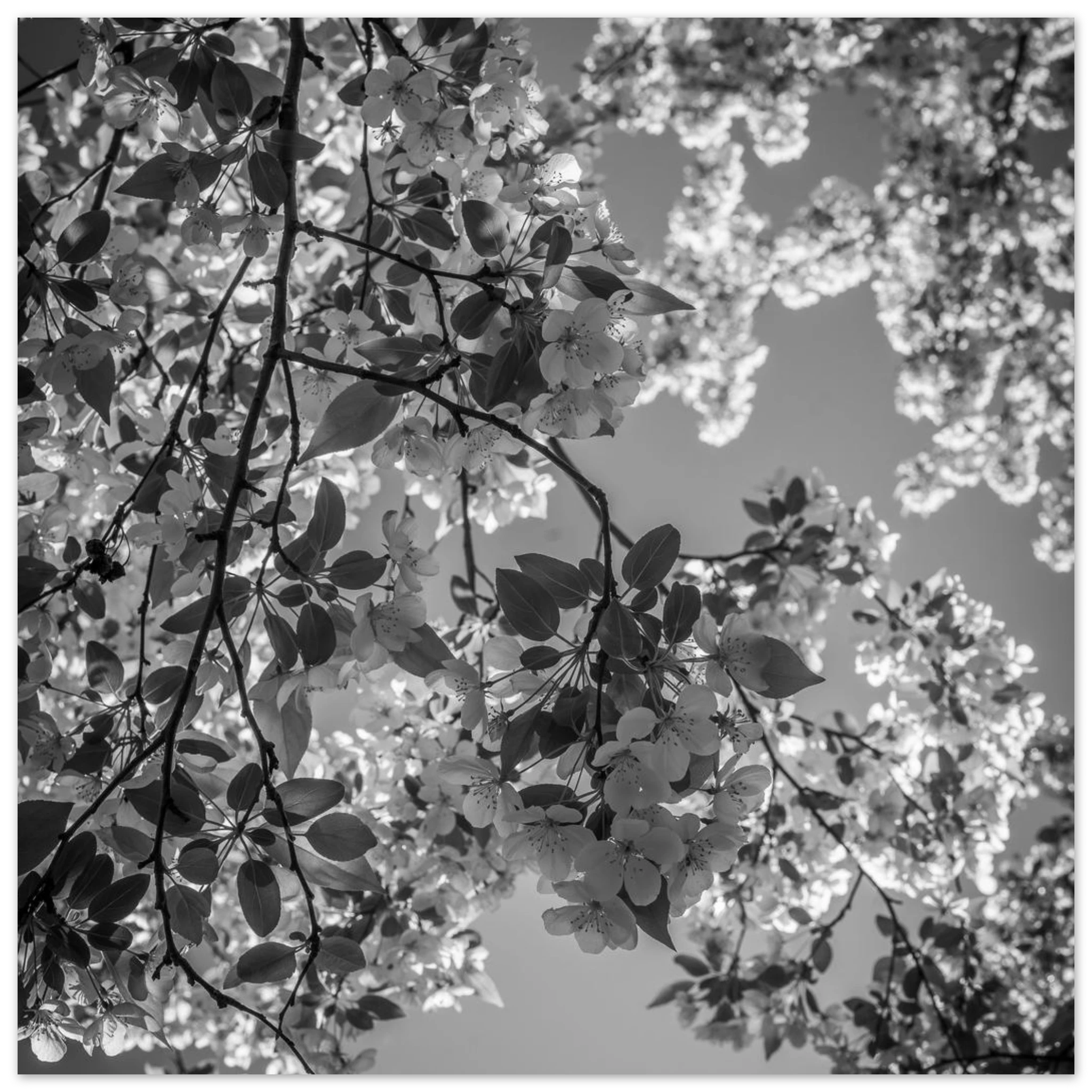 df963697-f8db-42ec-b15f-1340f9b31657