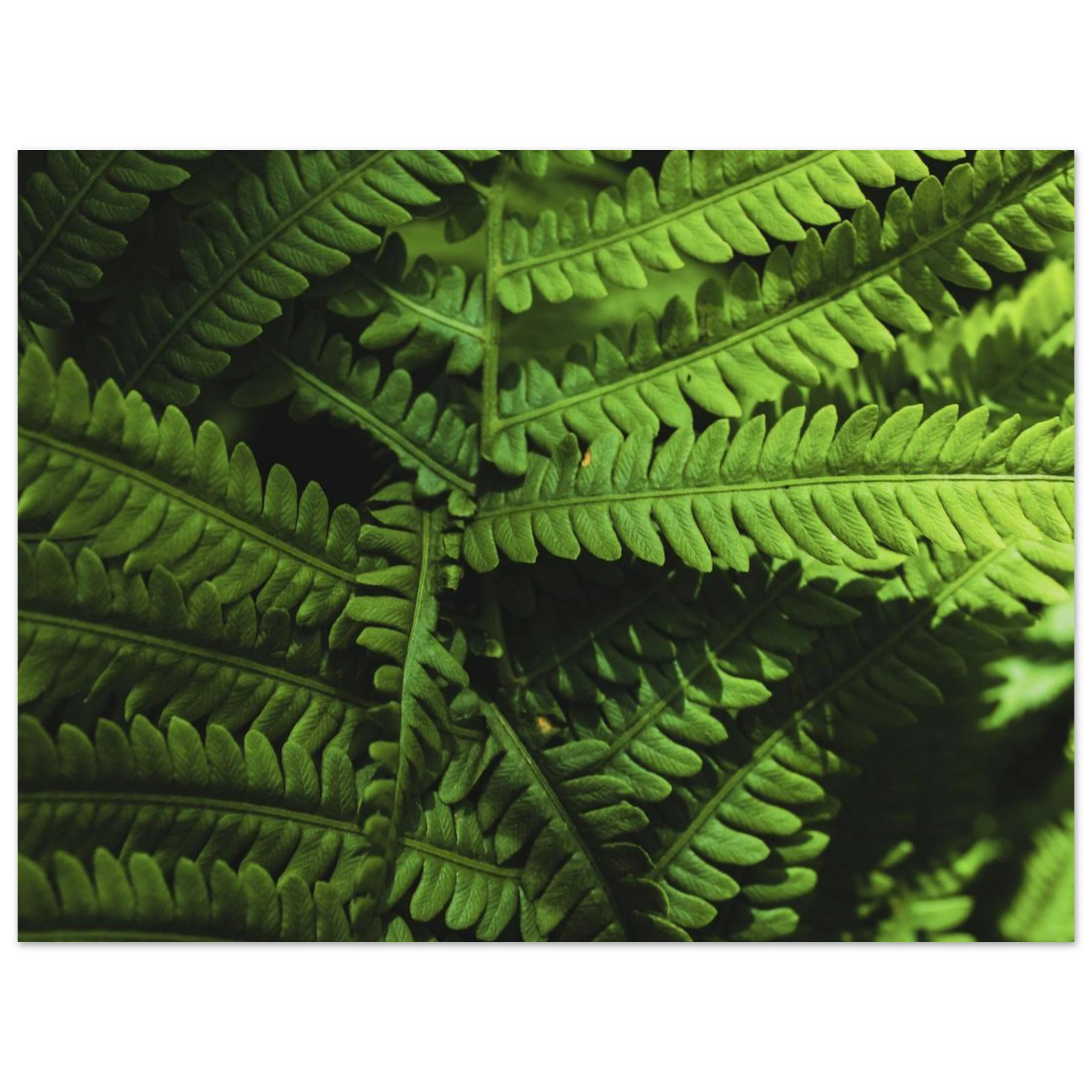 e0f497ce-e93c-4965-88e9-413e0b2acb6f