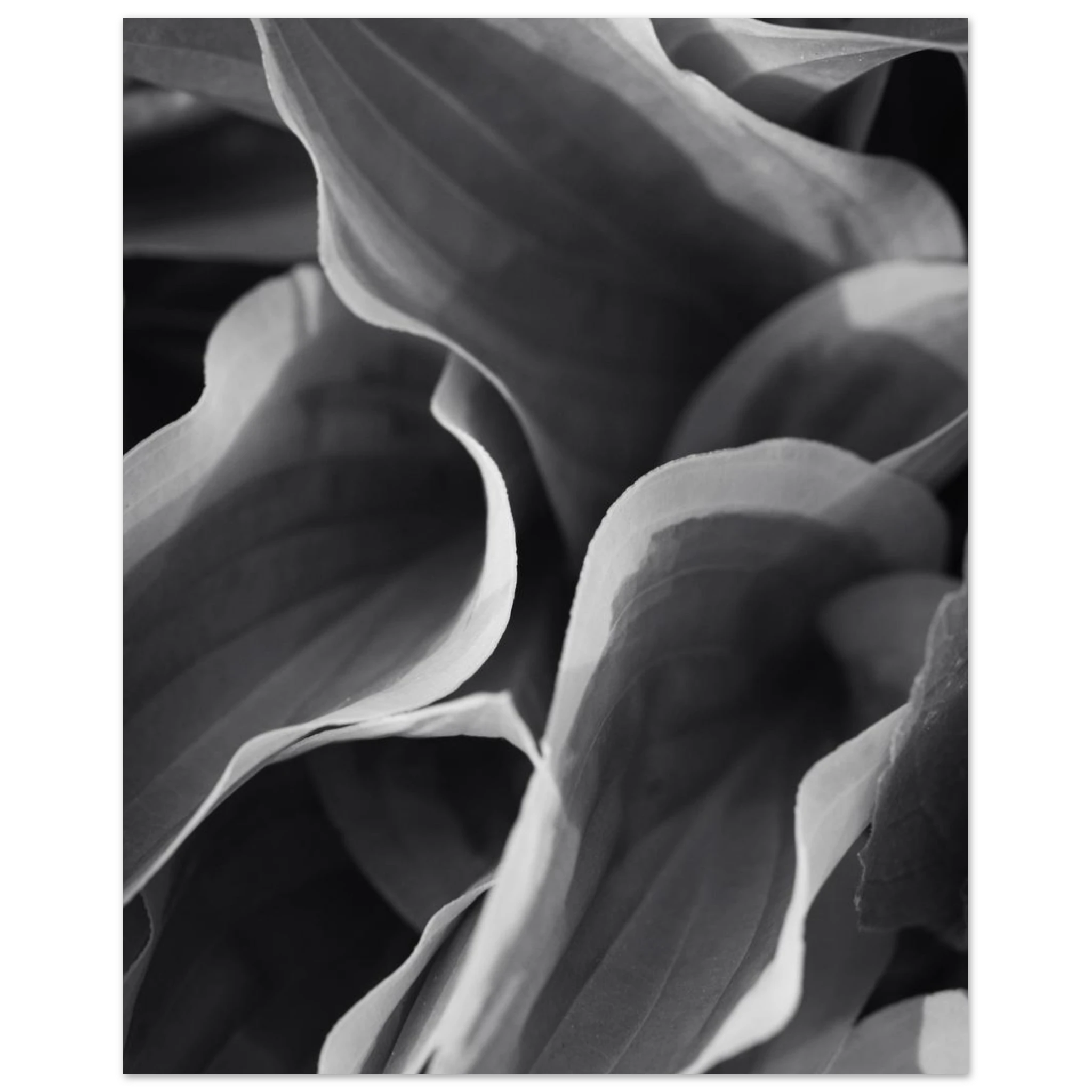 e131d4ed-1bc9-4962-bddc-3e425d9e00ea