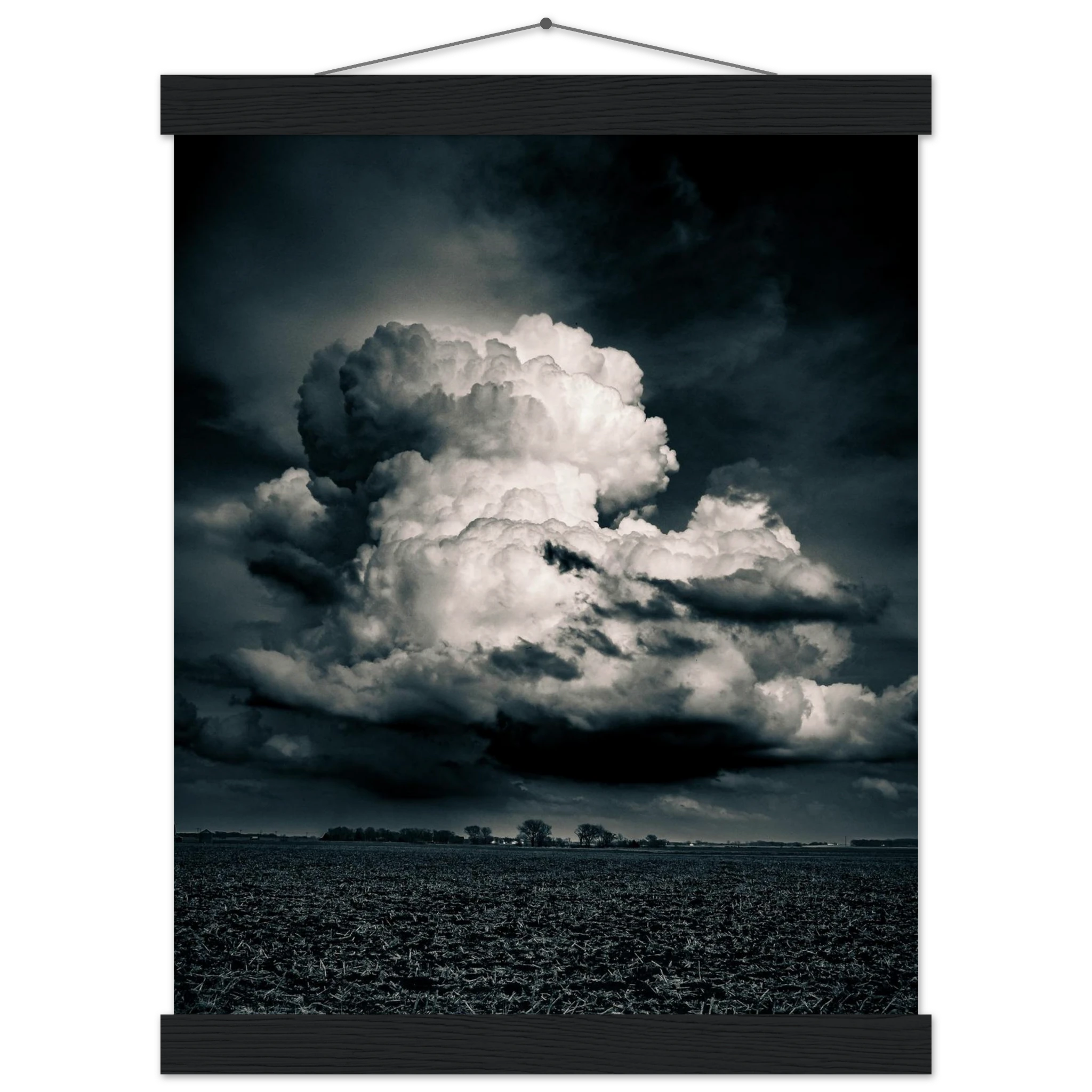 e1641642-db74-4cf8-b25a-2f90fa291630