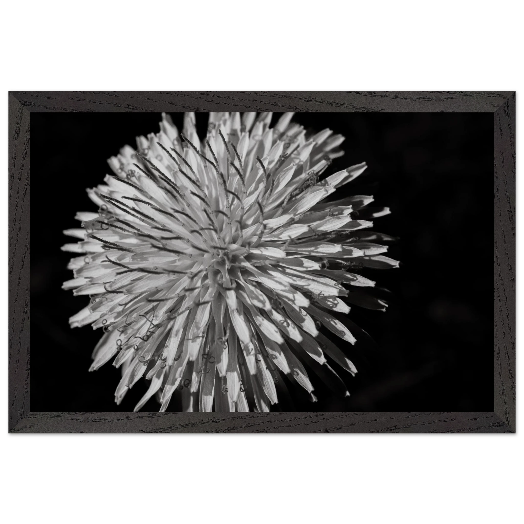 e1f16769-1115-4d6a-924b-8c873fe49505