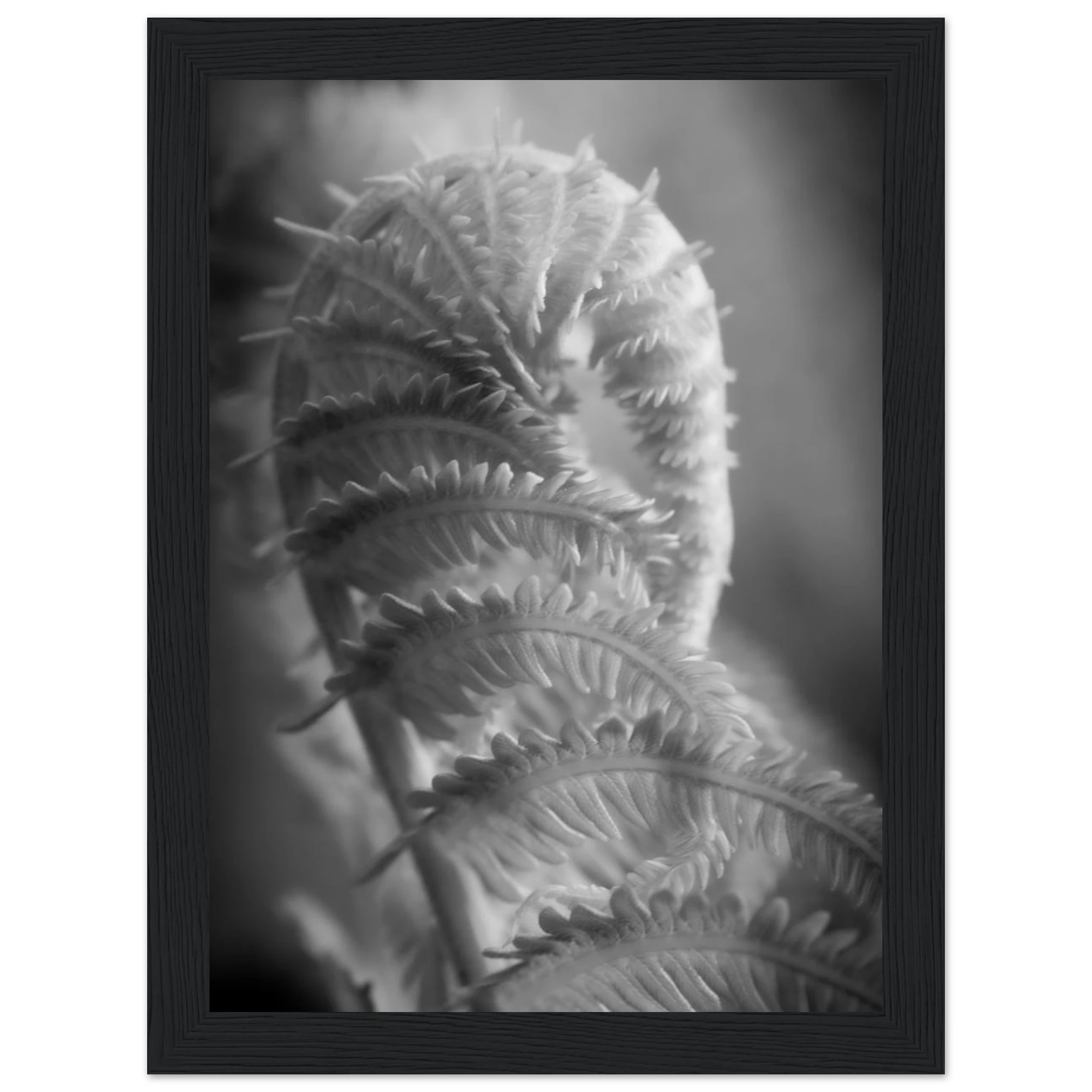 e2f1a07f-0802-4ba5-ac5f-c04c481d038c