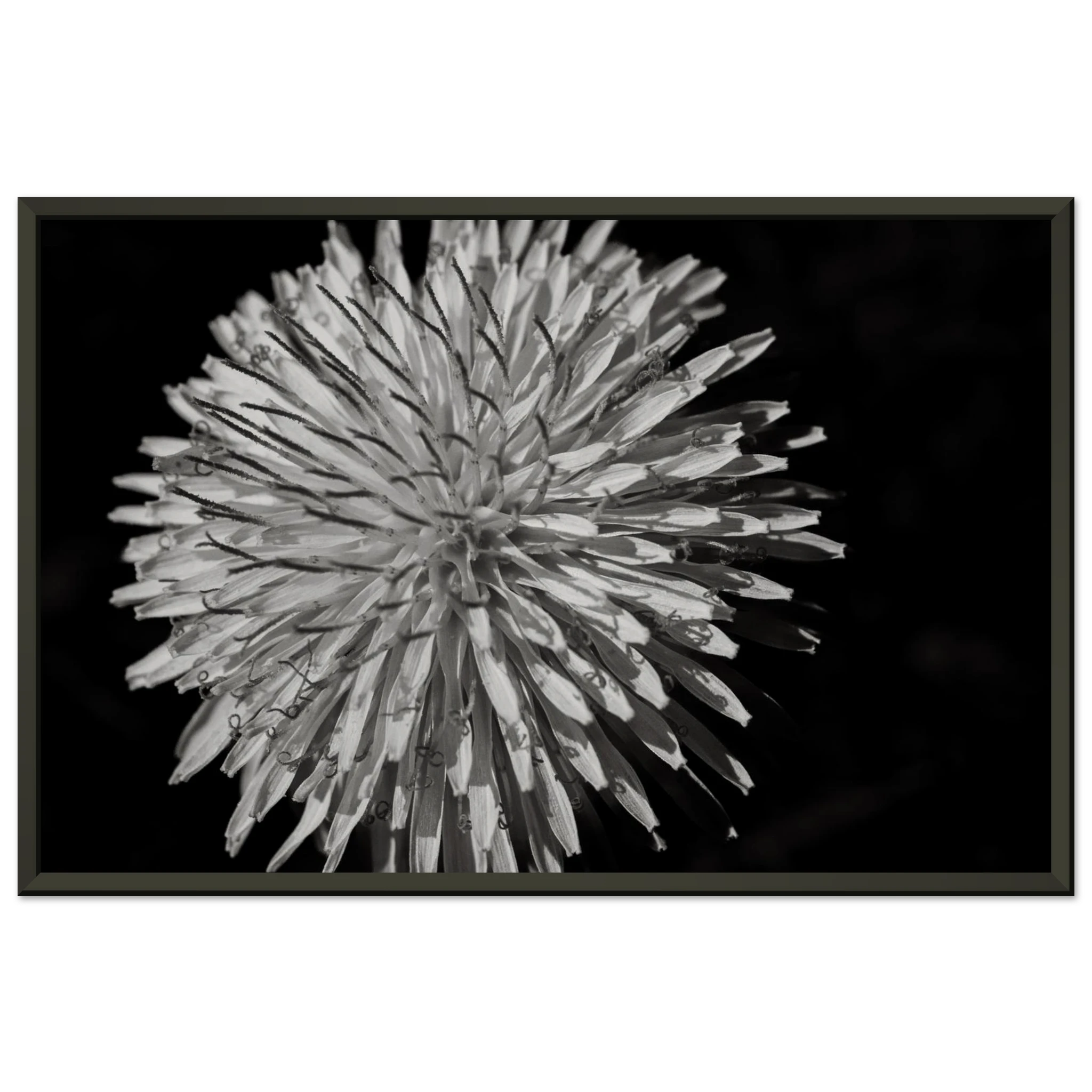 e3339225-8489-4c22-816d-13f1c8c196c2