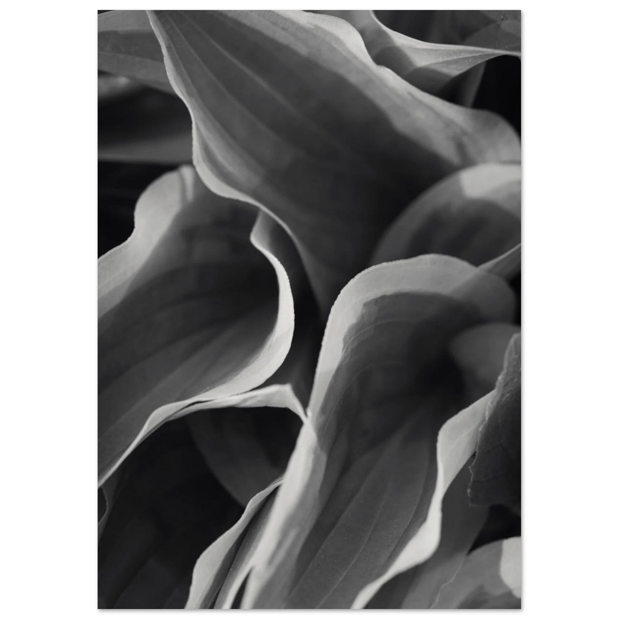 e4896976-db24-4799-b427-511e3fa227c3