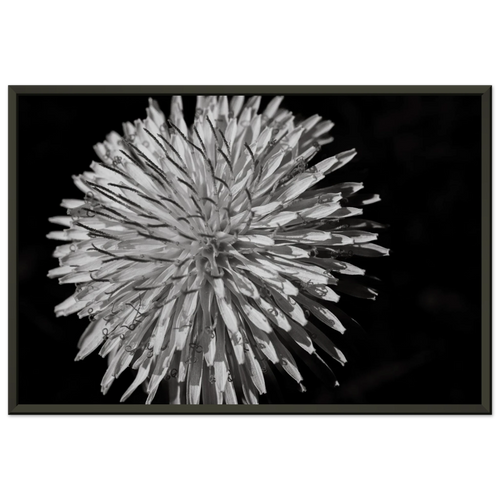 e54c9782-bb82-4126-af8d-ea6862076e14