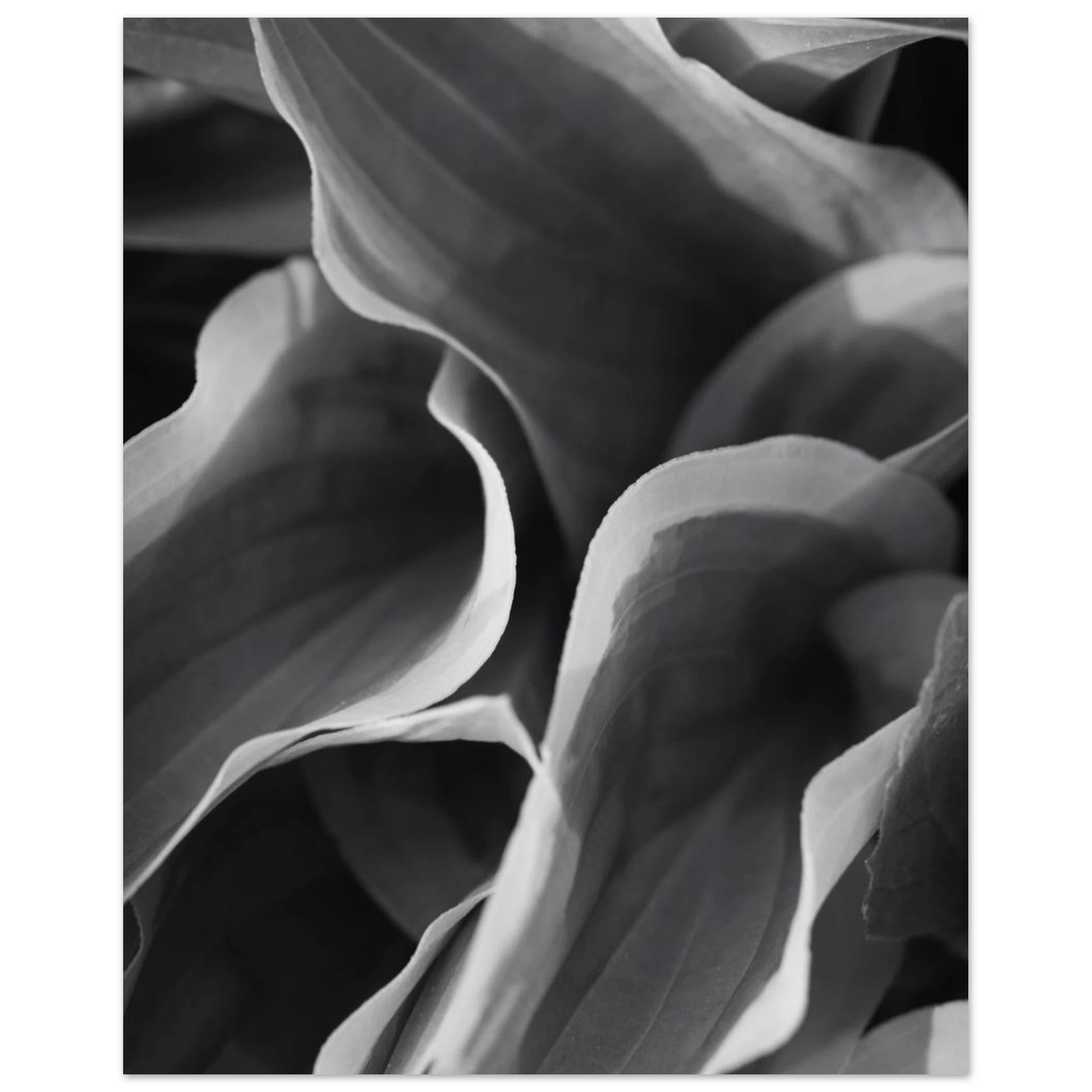 e5d48e72-c872-4f23-9872-fc32998d1837